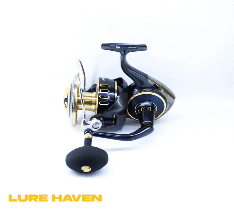 Top Daiwa Fishing Reels in Singapore & How to Pick One