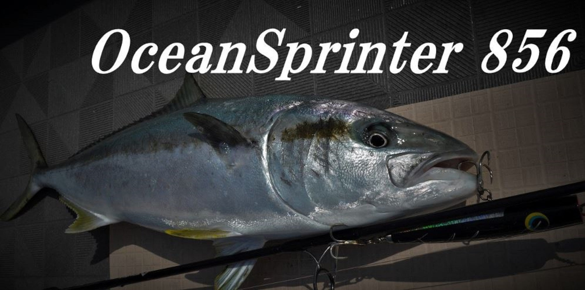 Truth Rod Spinning 856 Ocean Sprinter Japan (2300)