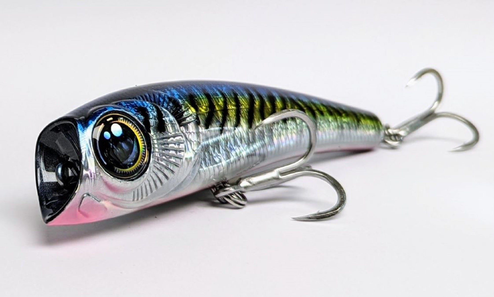 Lure Haven Singapore