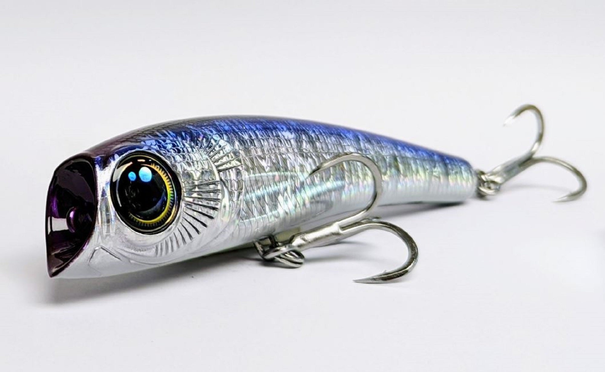Lure Haven Singapore
