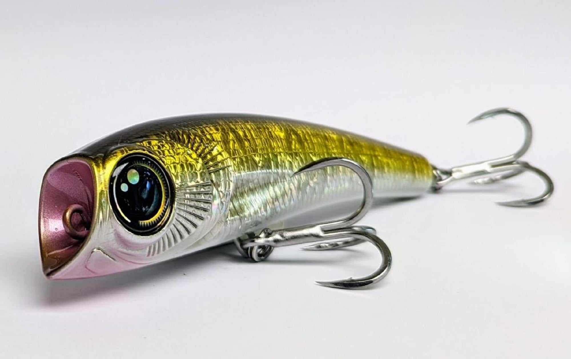 Lure Haven Singapore