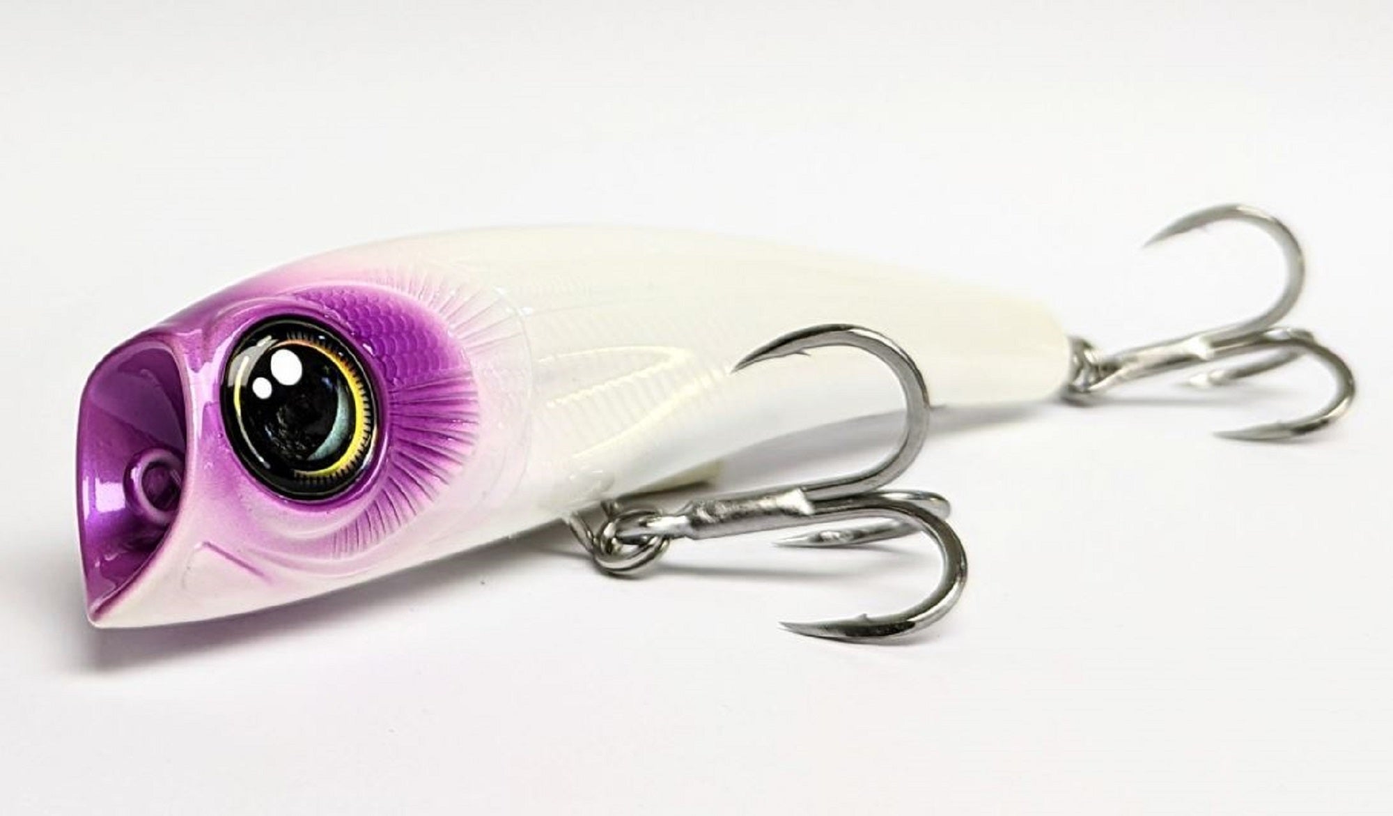 Lure Haven Singapore
