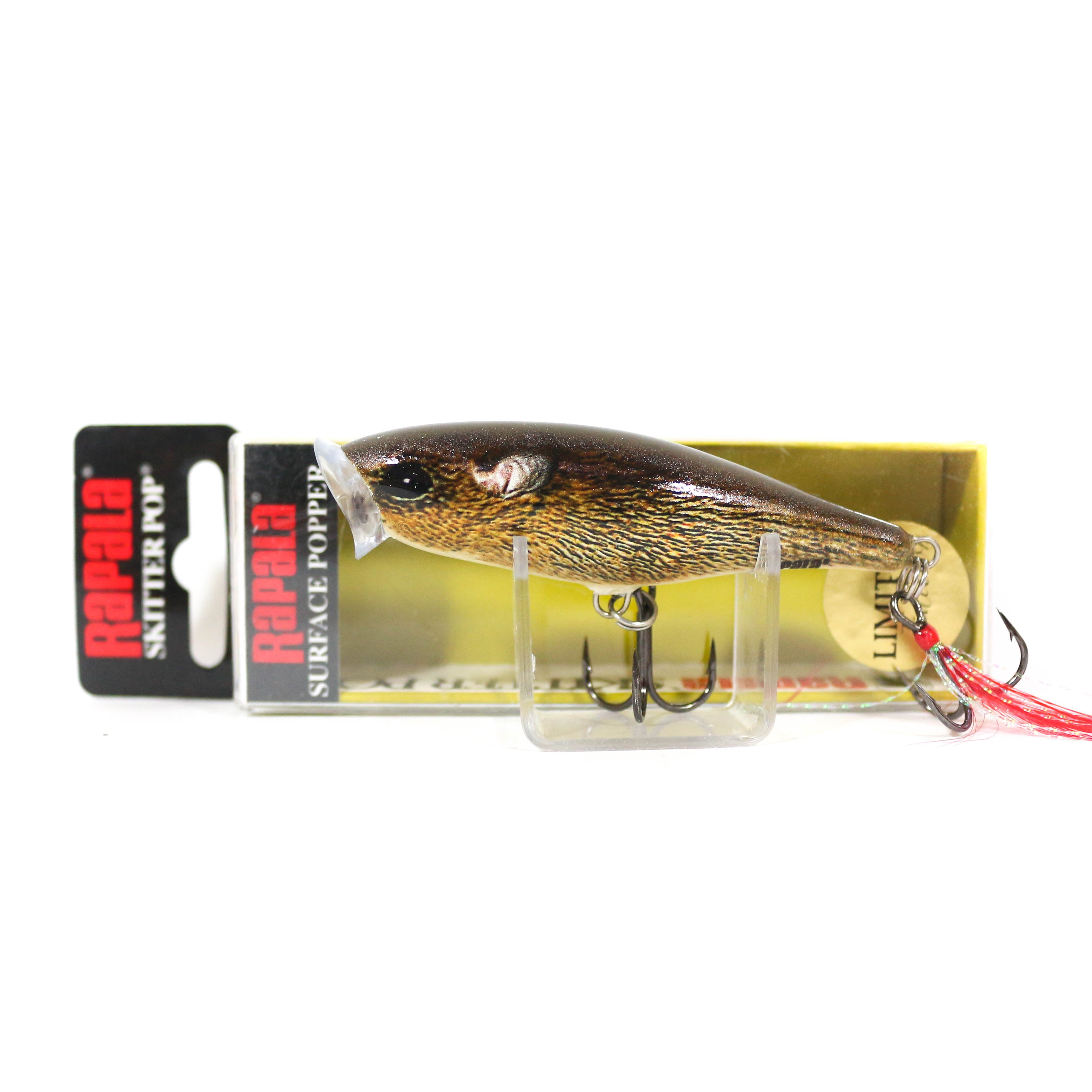 Lure Haven Singapore