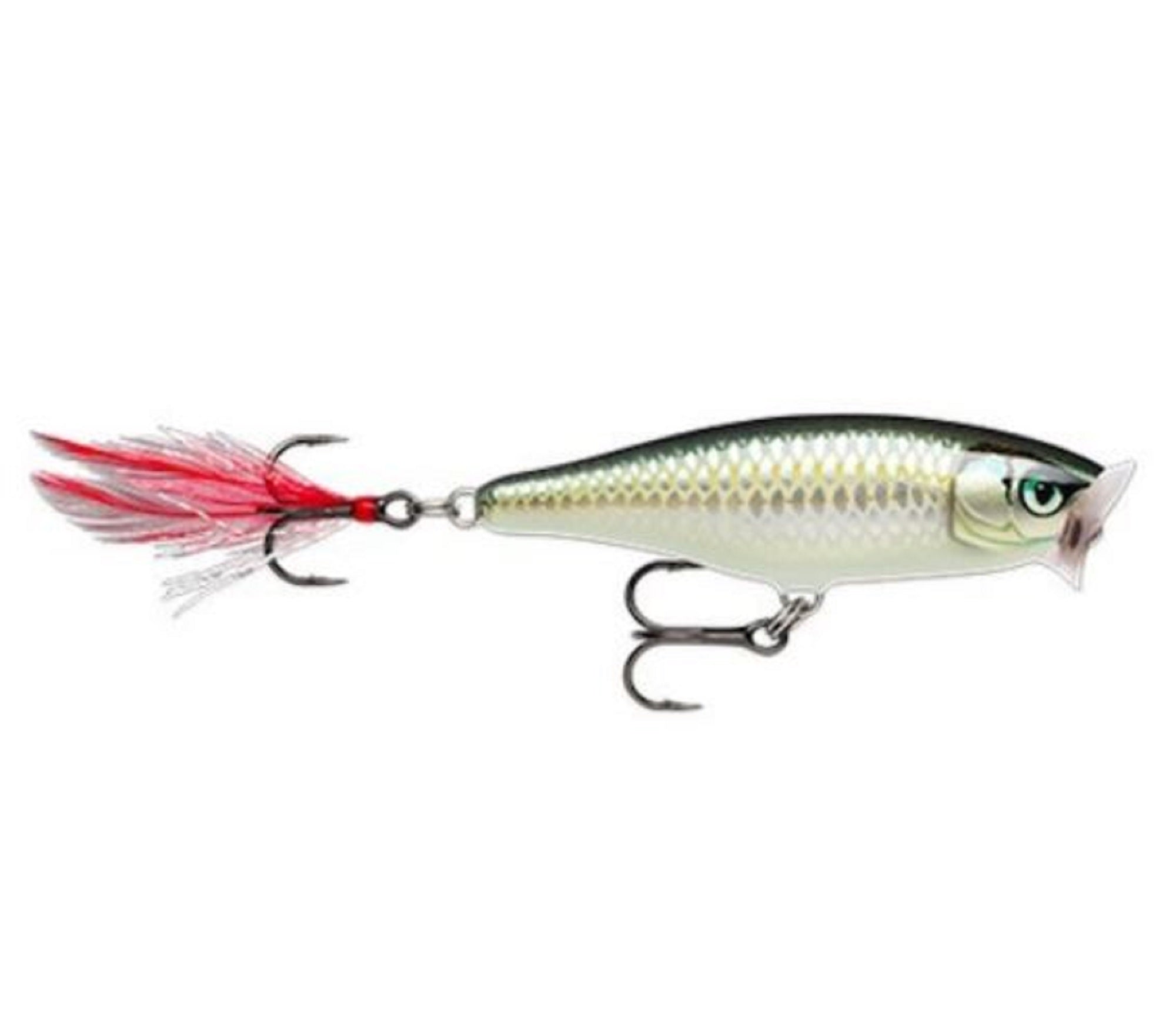 Lure Haven Singapore