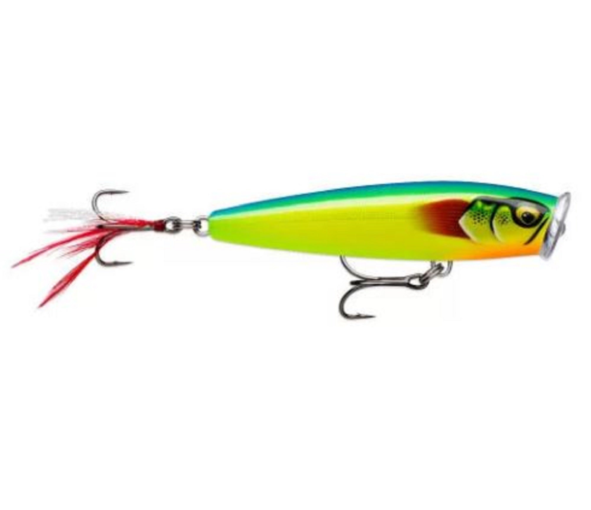 Lure Haven Singapore