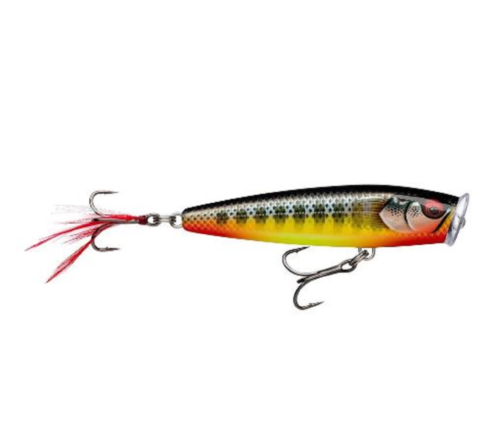 Lure Haven Singapore