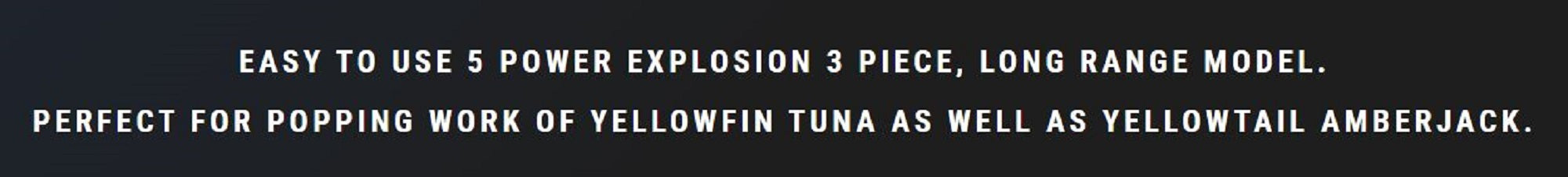 MC Works Rod Spinning EX855HF-T P.E 4-6 60-110 grams Travel 3 Piece (1049)