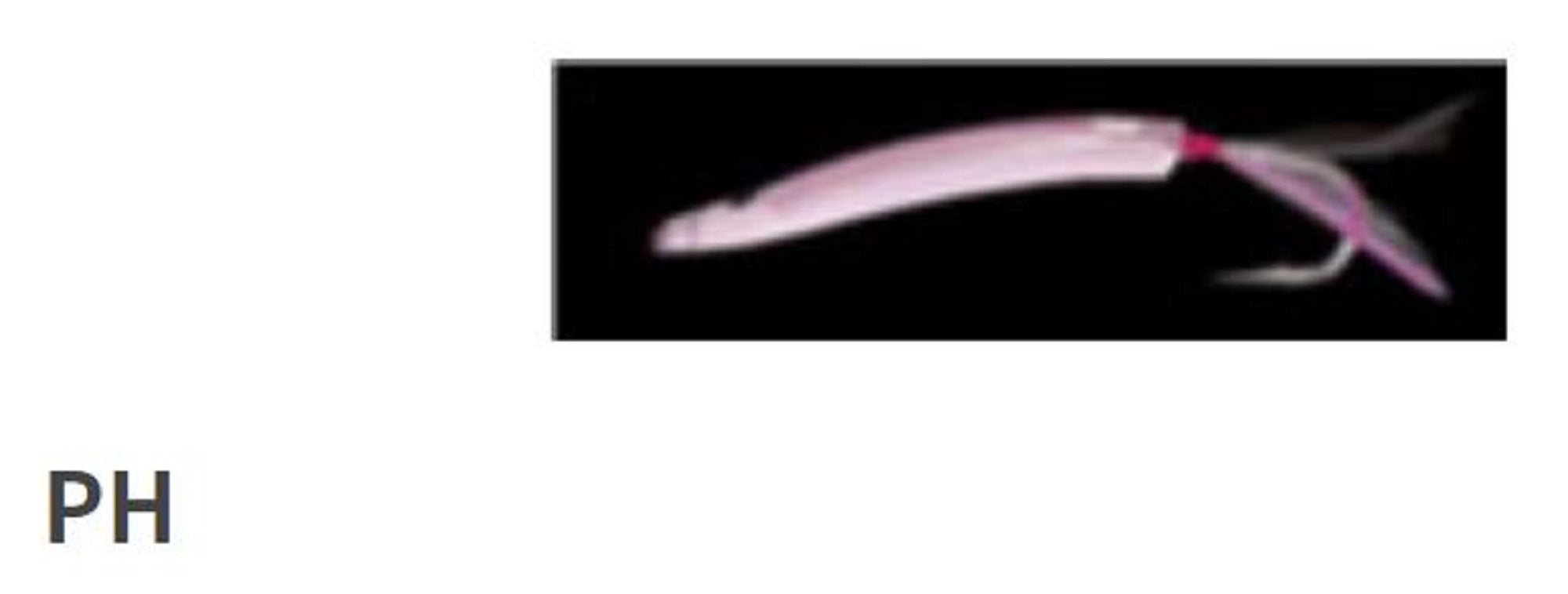 Yamashita Surf Yumizono II 45 PH (7767)