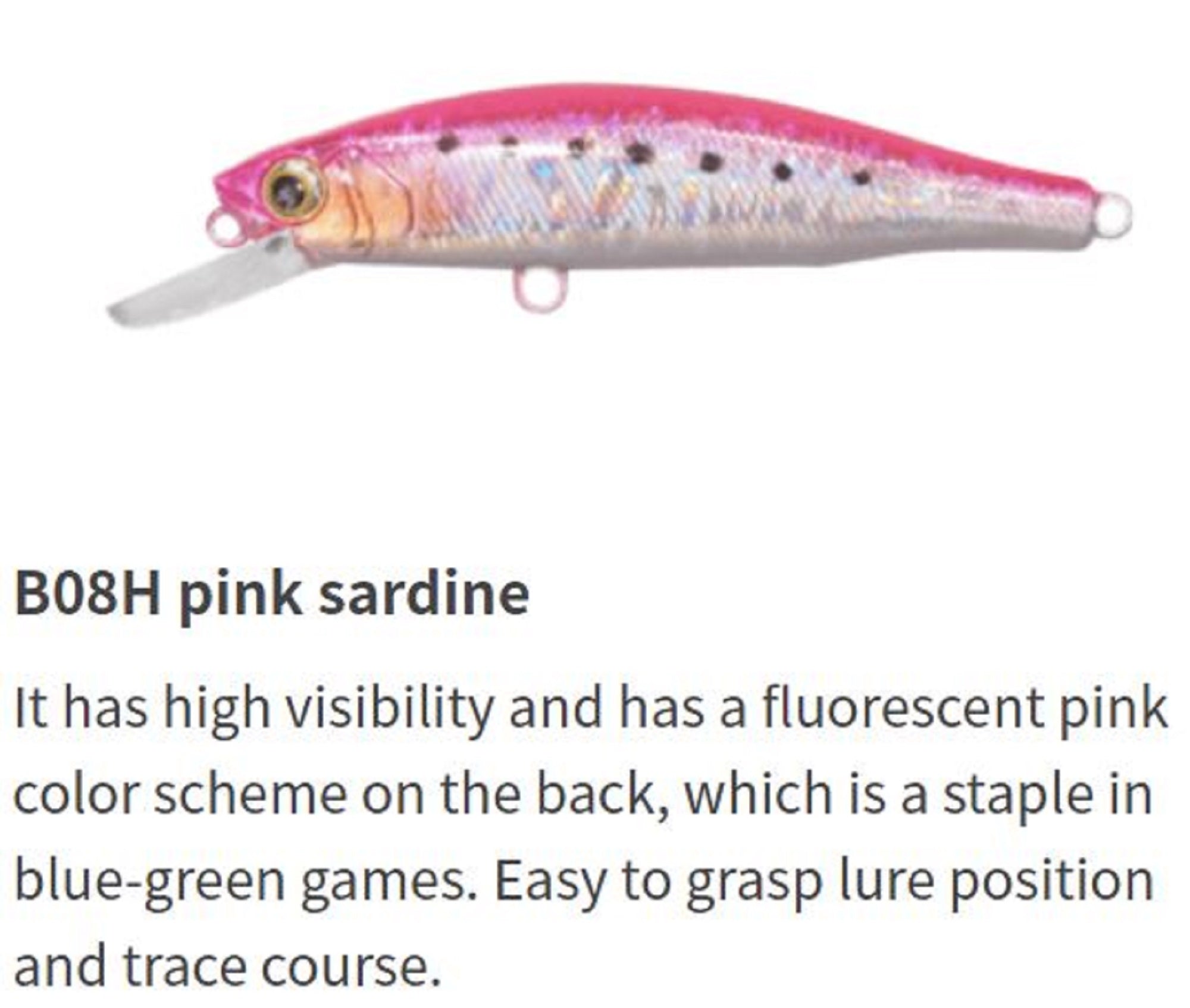 Lure Haven Singapore