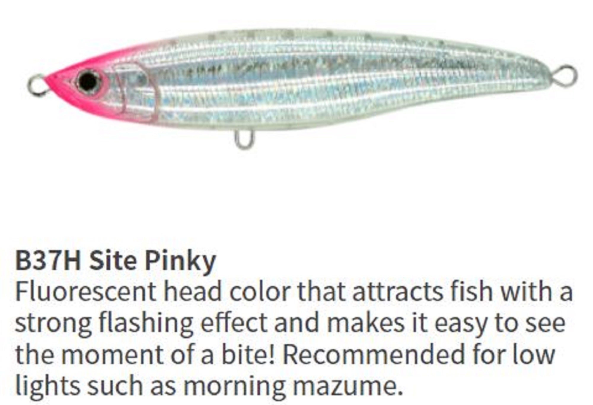 Lure Haven Singapore