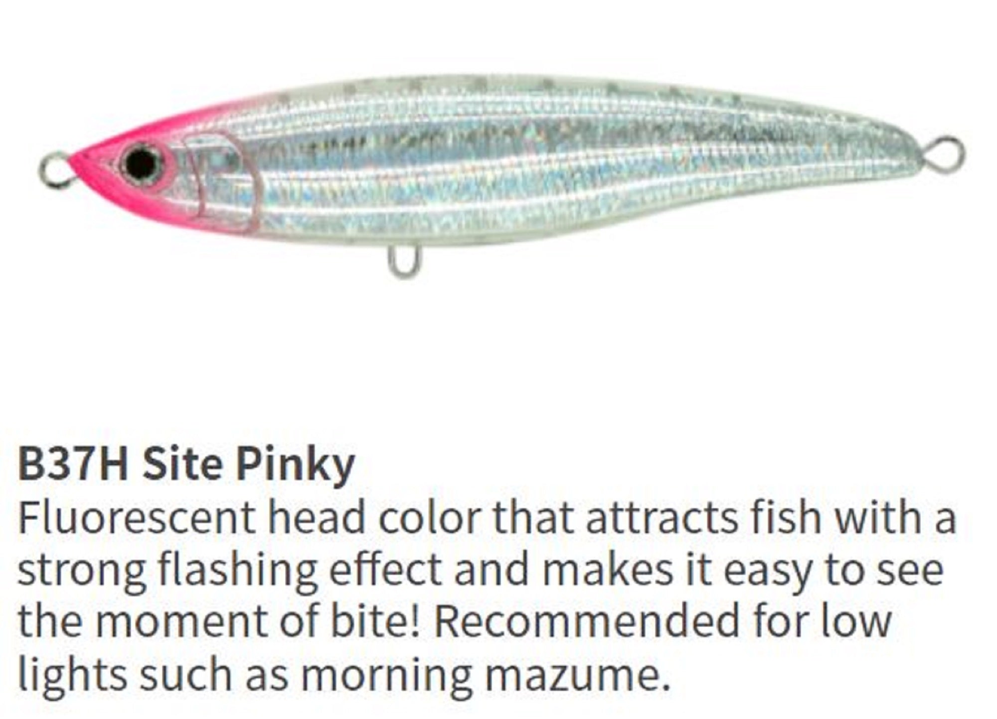 Lure Haven Singapore