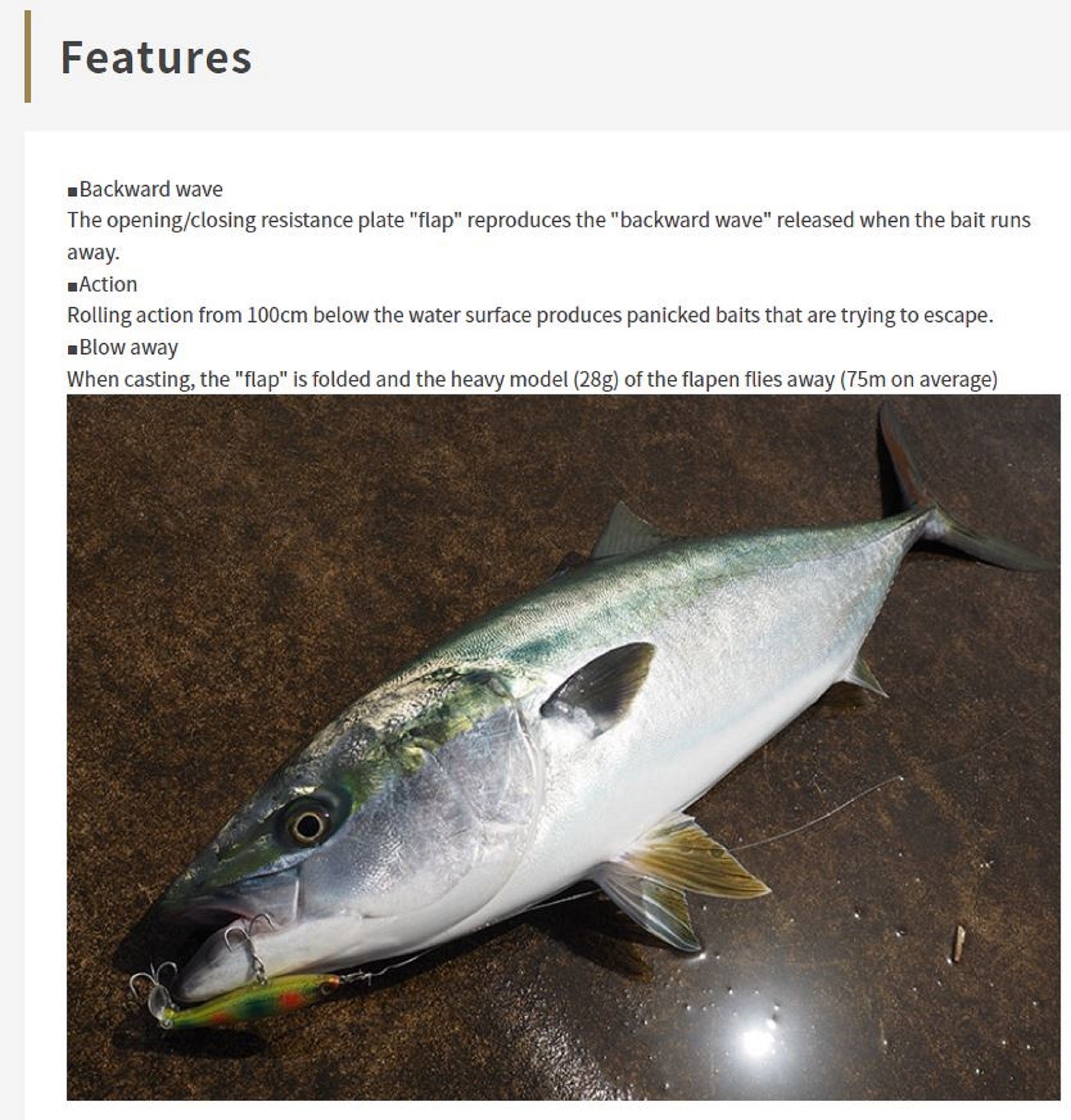 Lure Haven Singapore