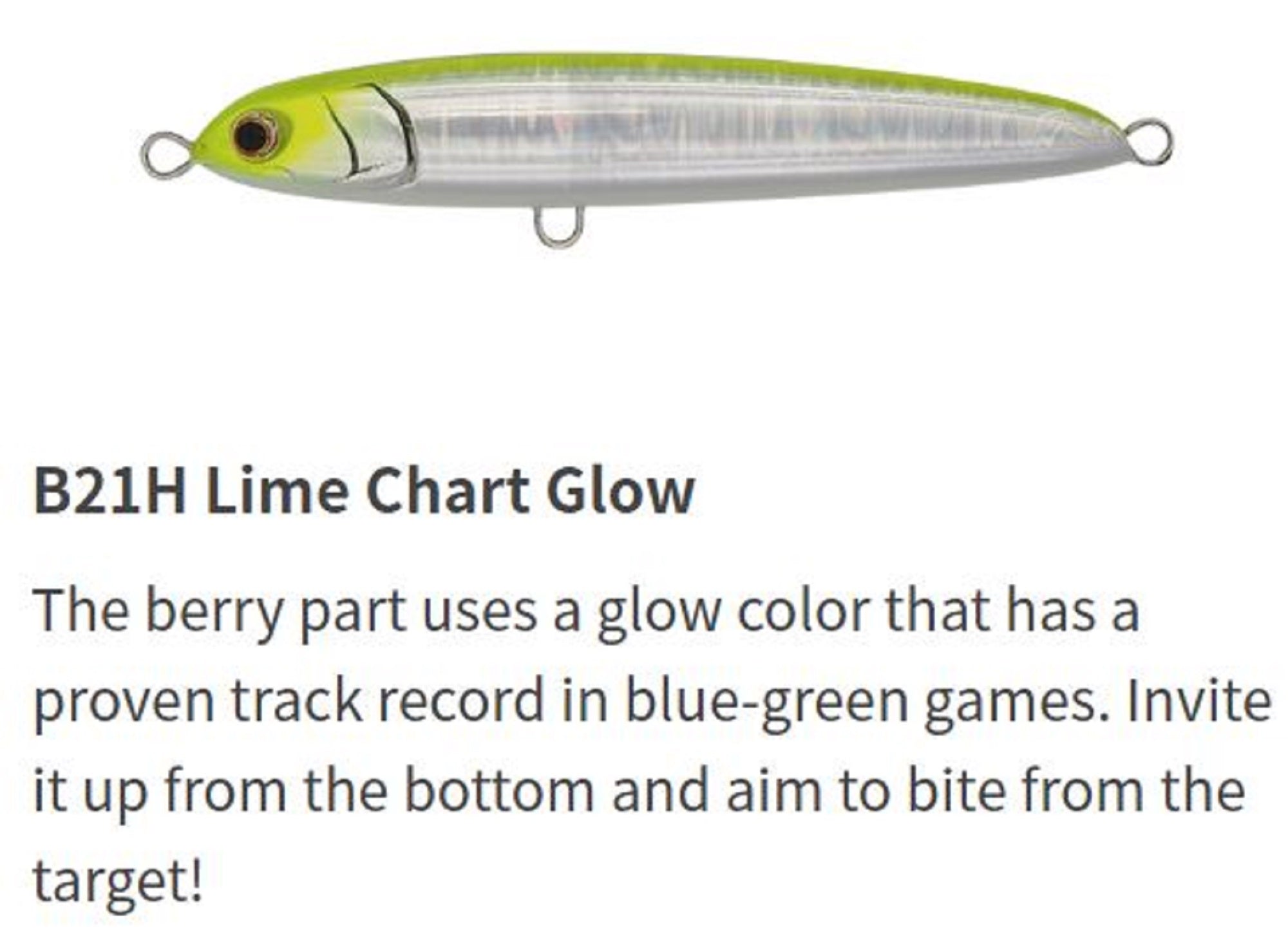 Maria Rerise SS130 55 Grams Sinking Lure B21H 4924 Maria Rerise SS130 55 Grams Sinking Lure B21H 4924