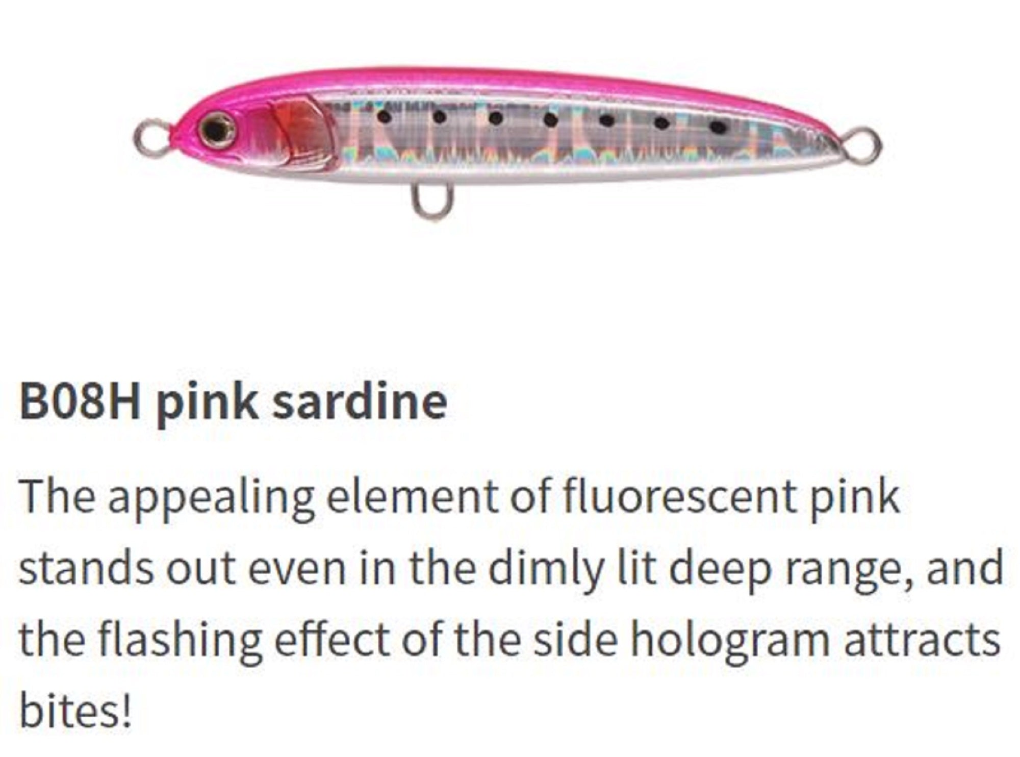 Lure Haven Singapore