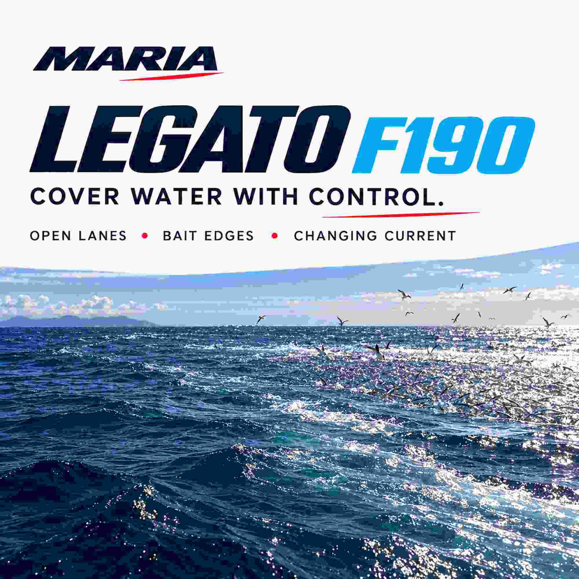 Maria Legato F190 60 grams Floating Lure 004 (6804)