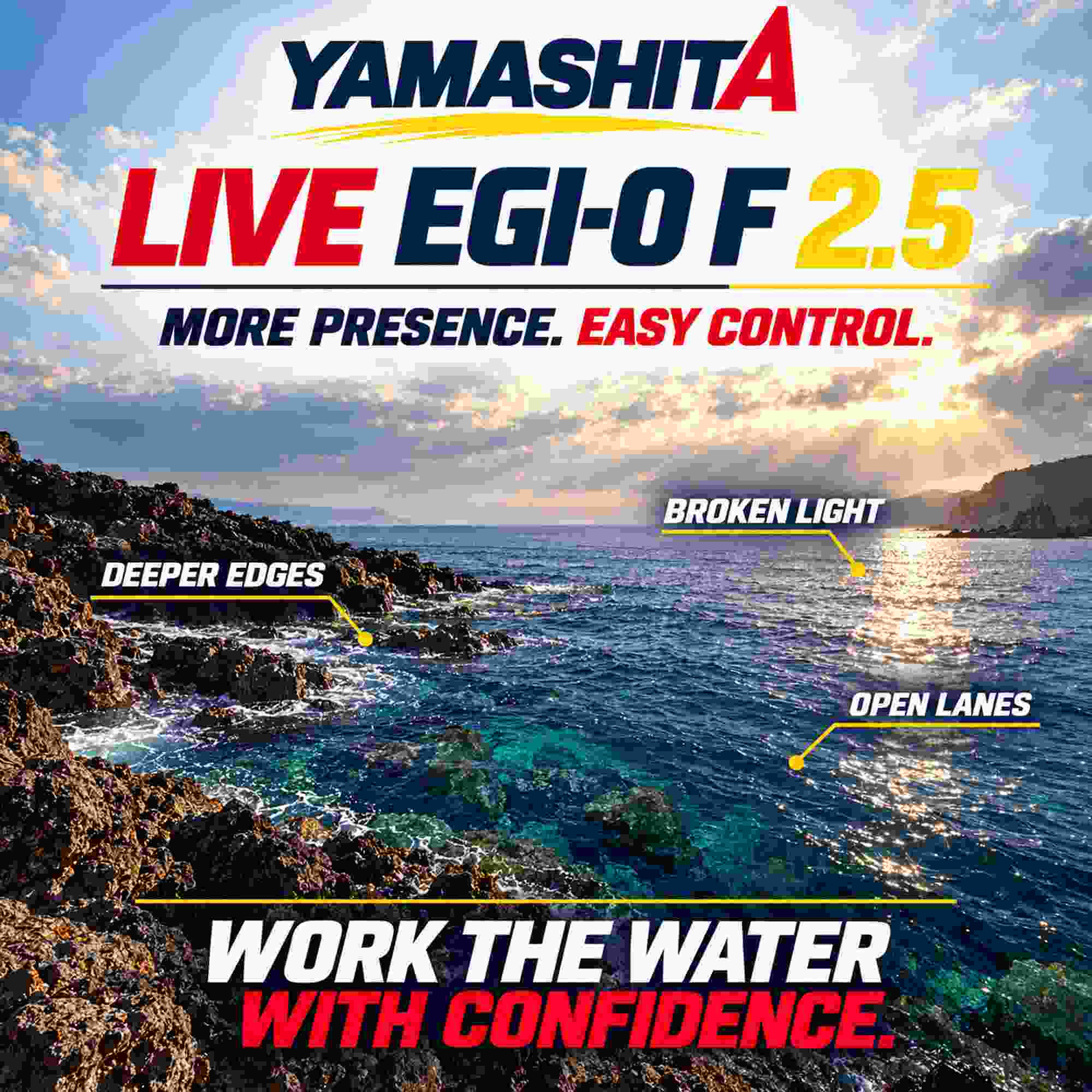 Yamashita Live Egi-O F 2.5-10 grams-5.5 sec per m F021 (0596)