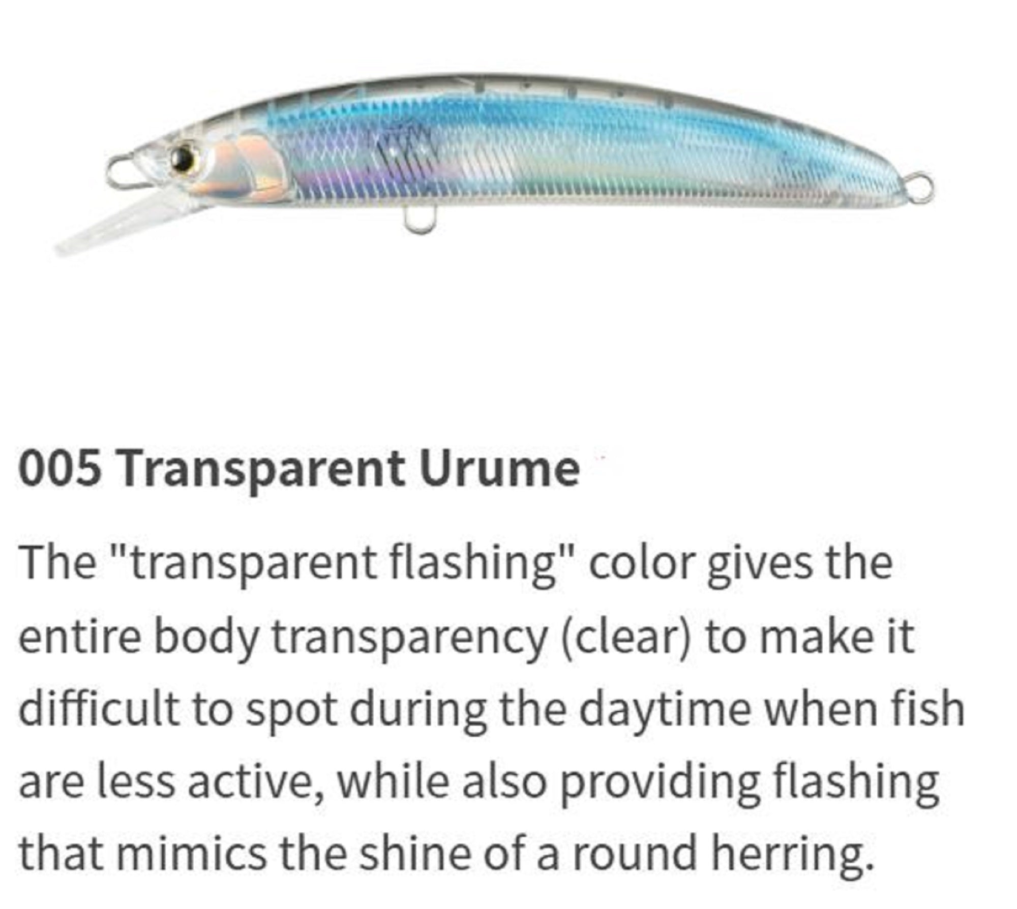 Lure Haven Singapore