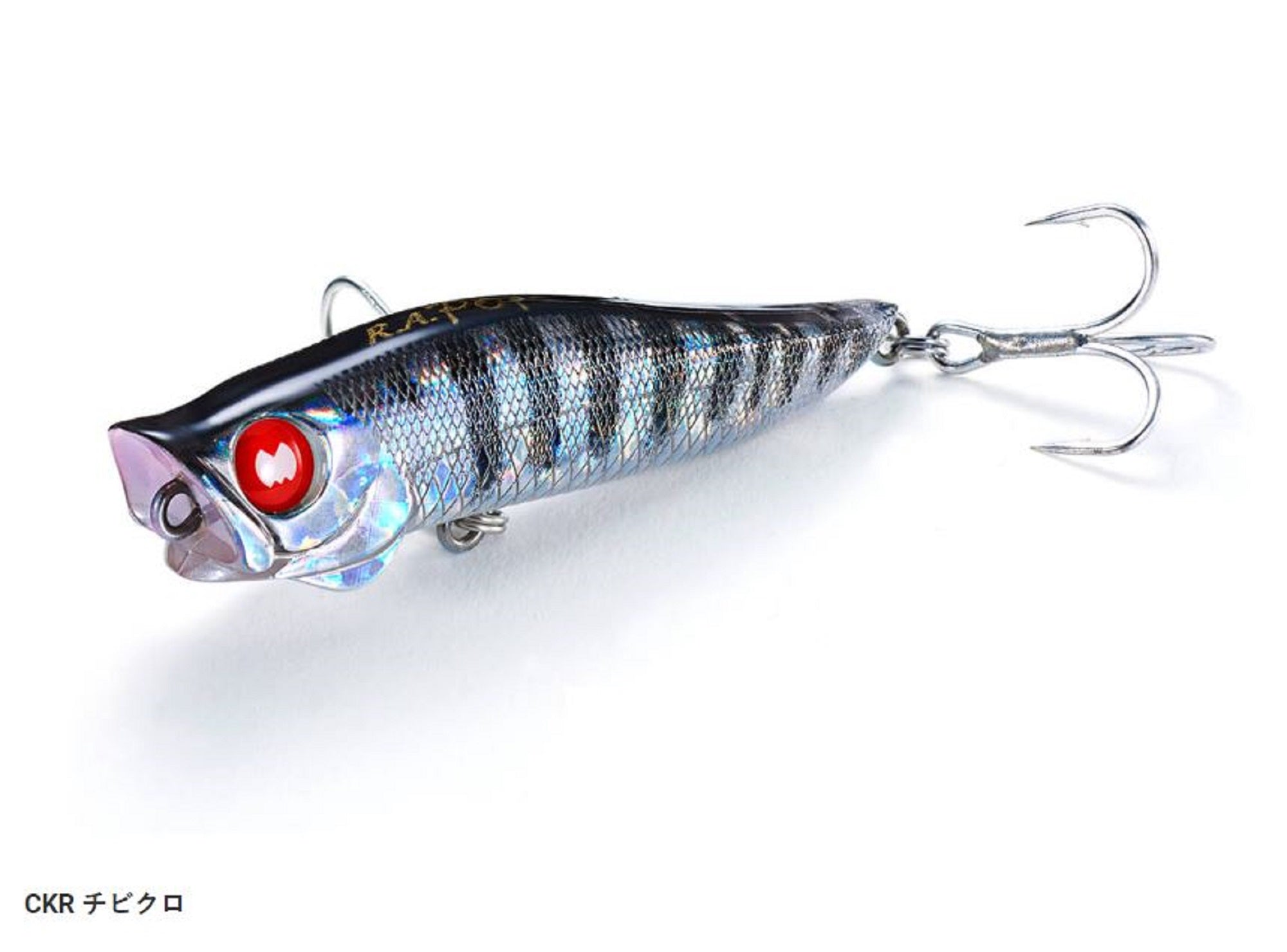 Lure Haven Singapore