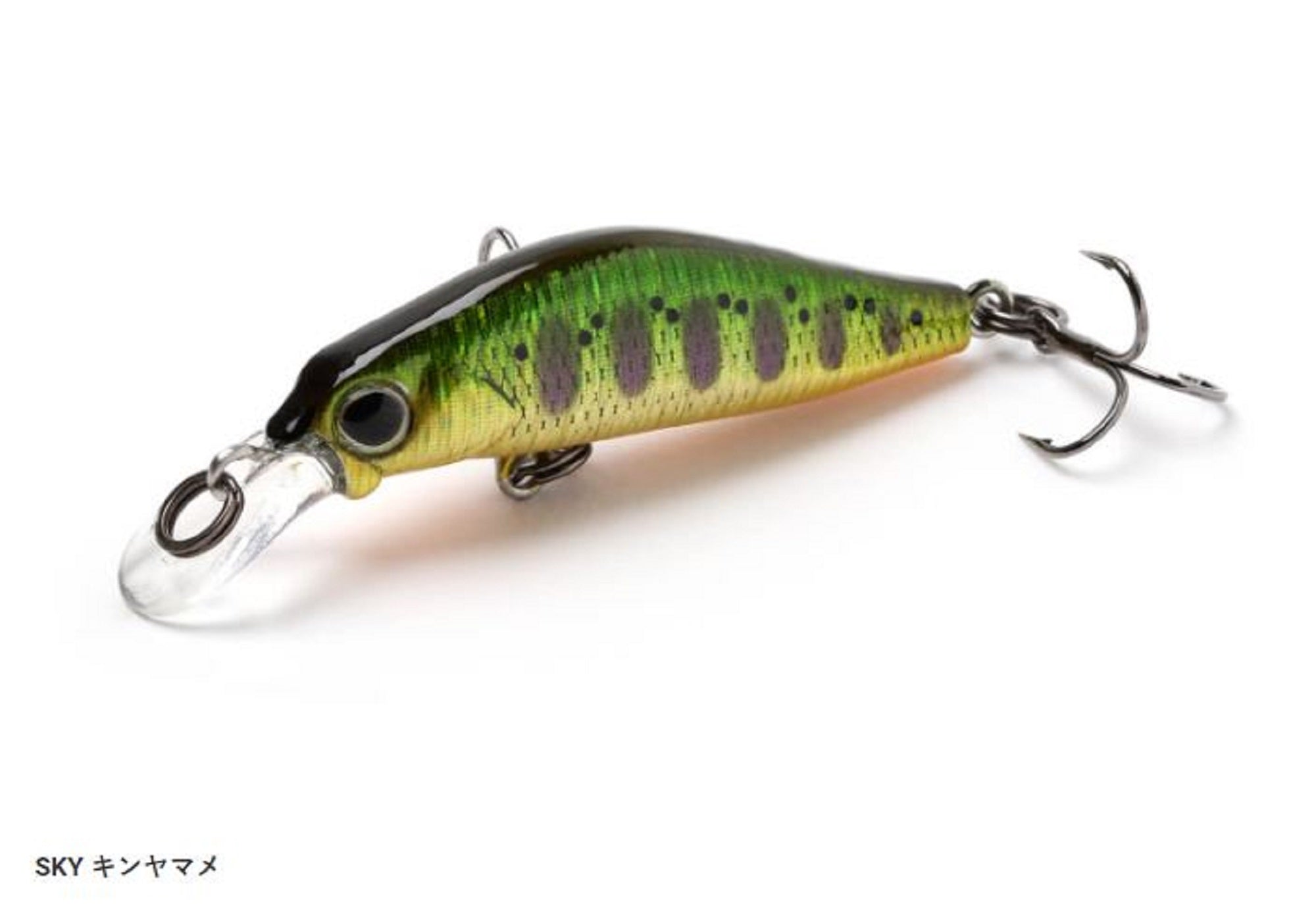 Lure Haven Singapore