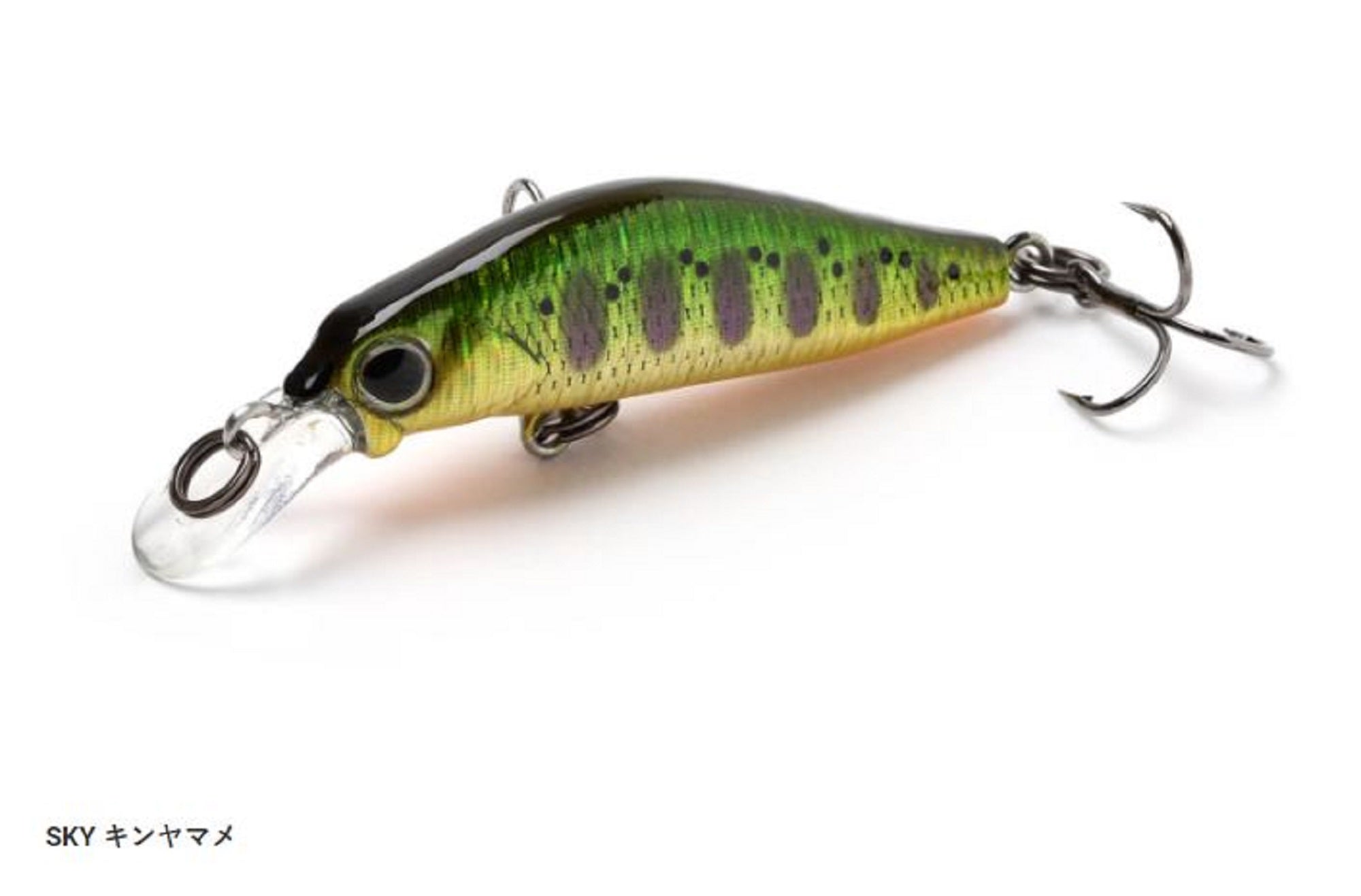 Lure Haven Singapore