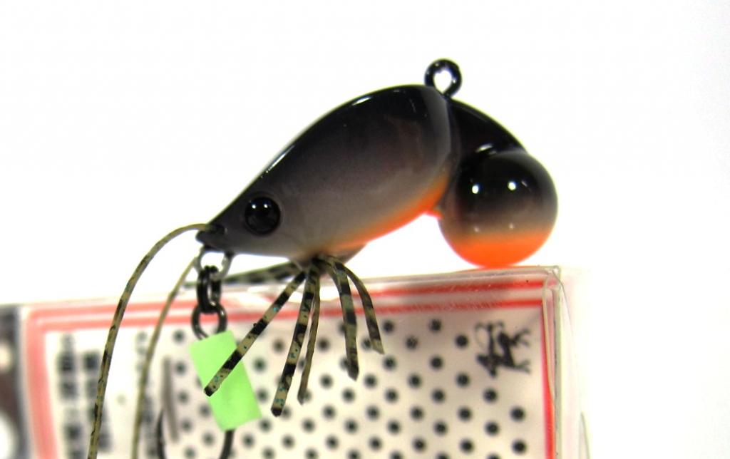 Lure Haven Singapore