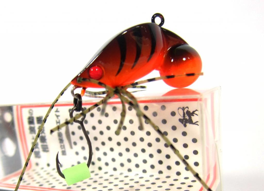 Lure Haven Singapore