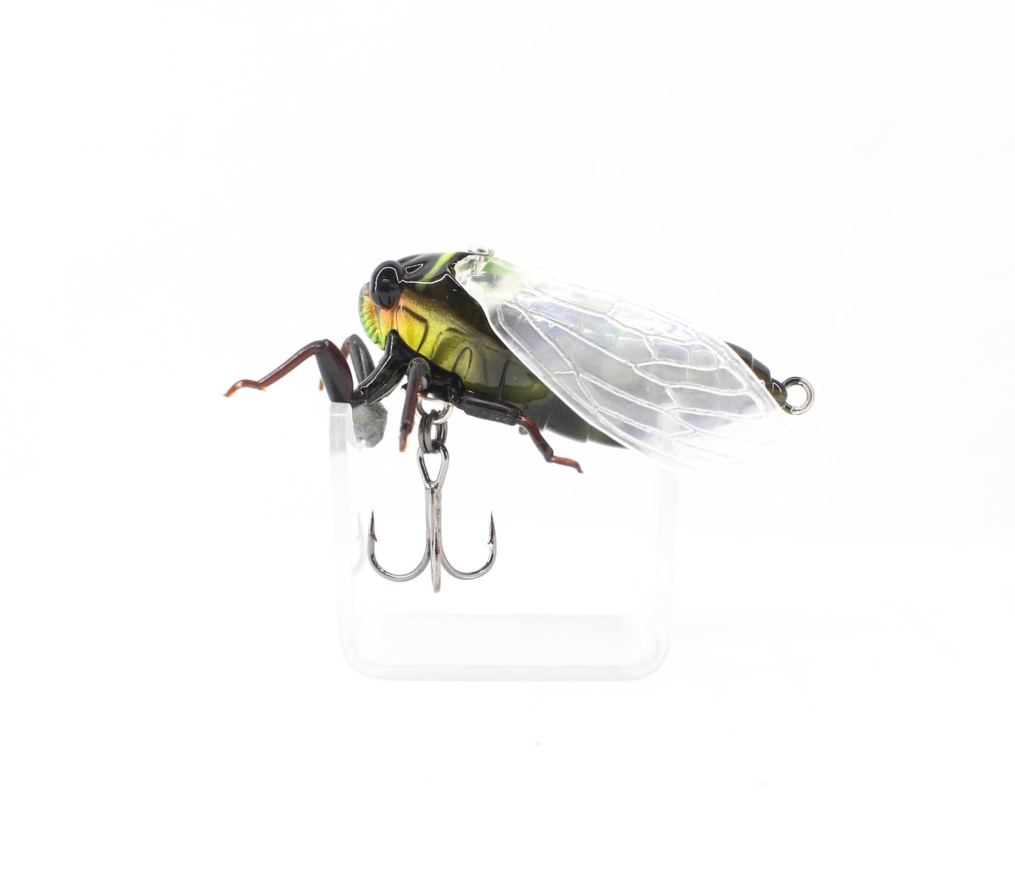 Lure Haven Singapore