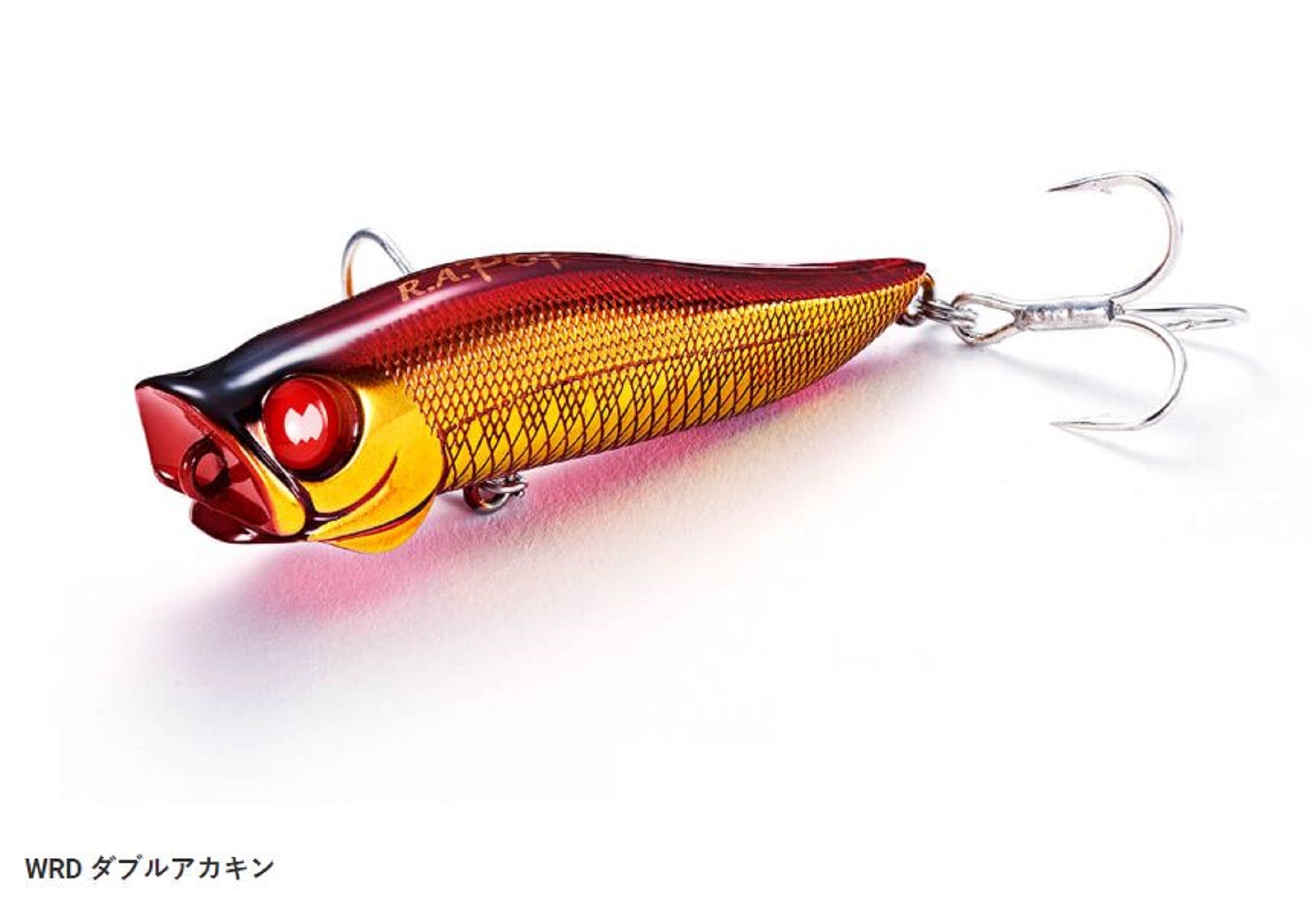 Lure Haven Singapore