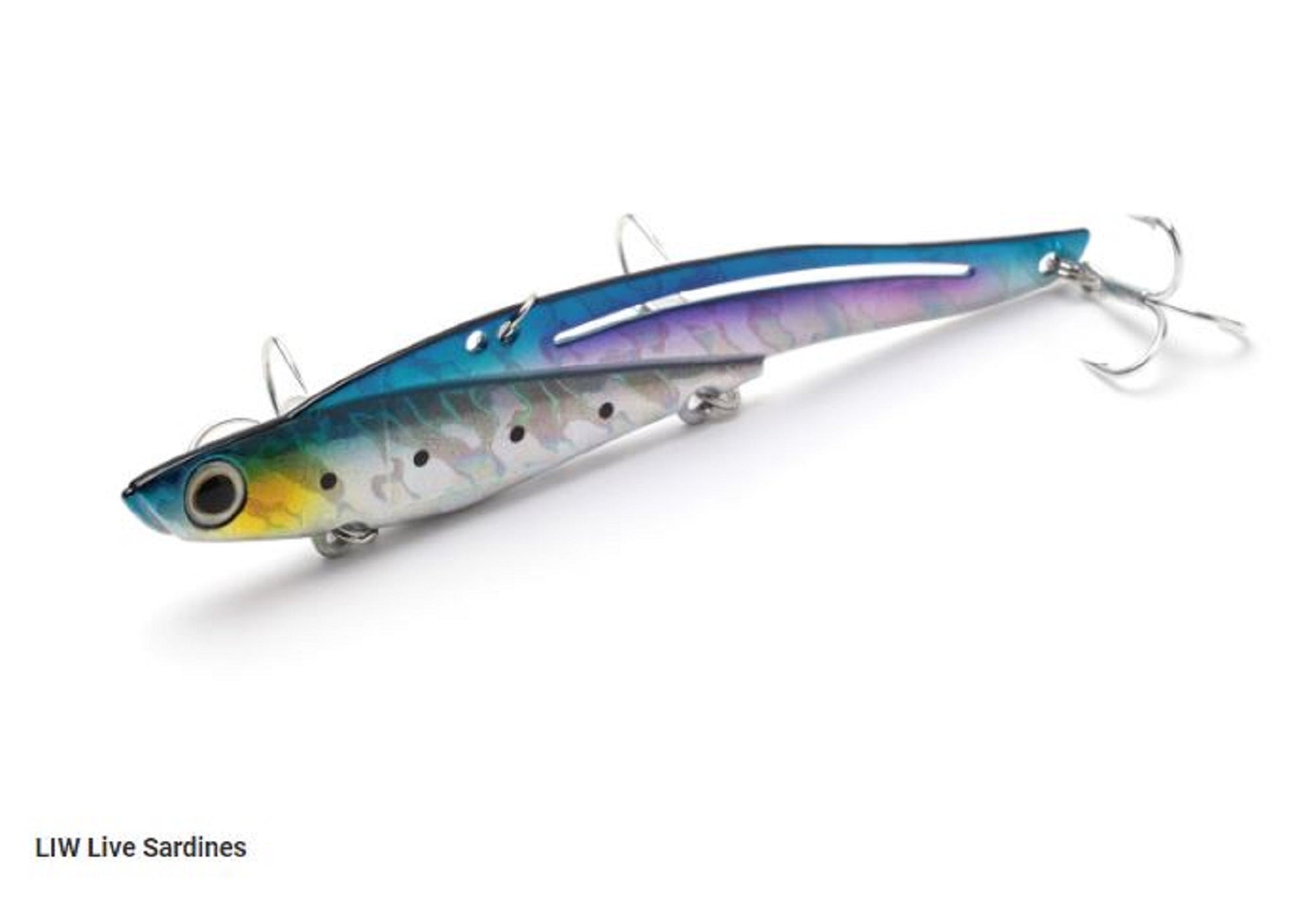 Lure Haven Singapore