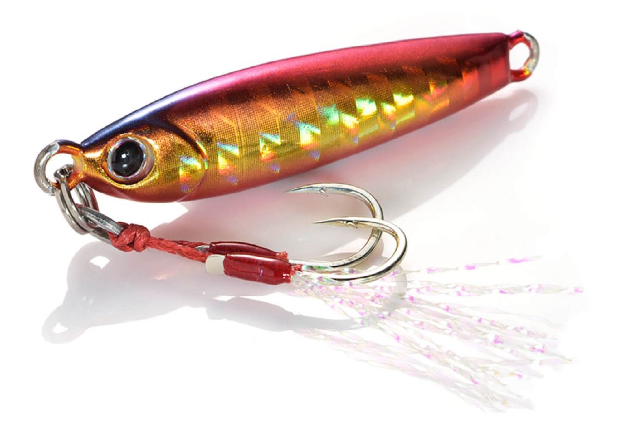 Lure Haven Singapore