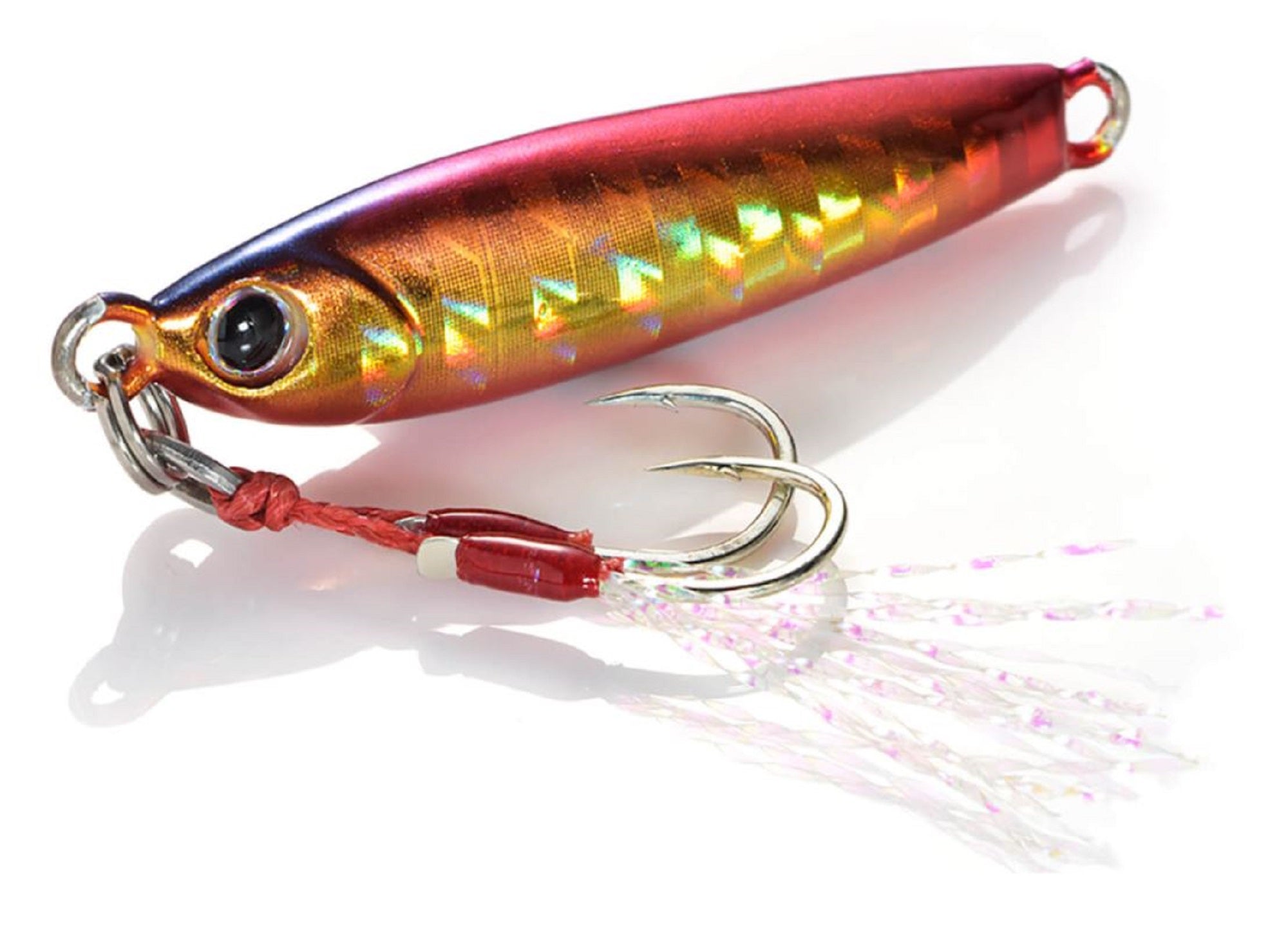 Lure Haven Singapore