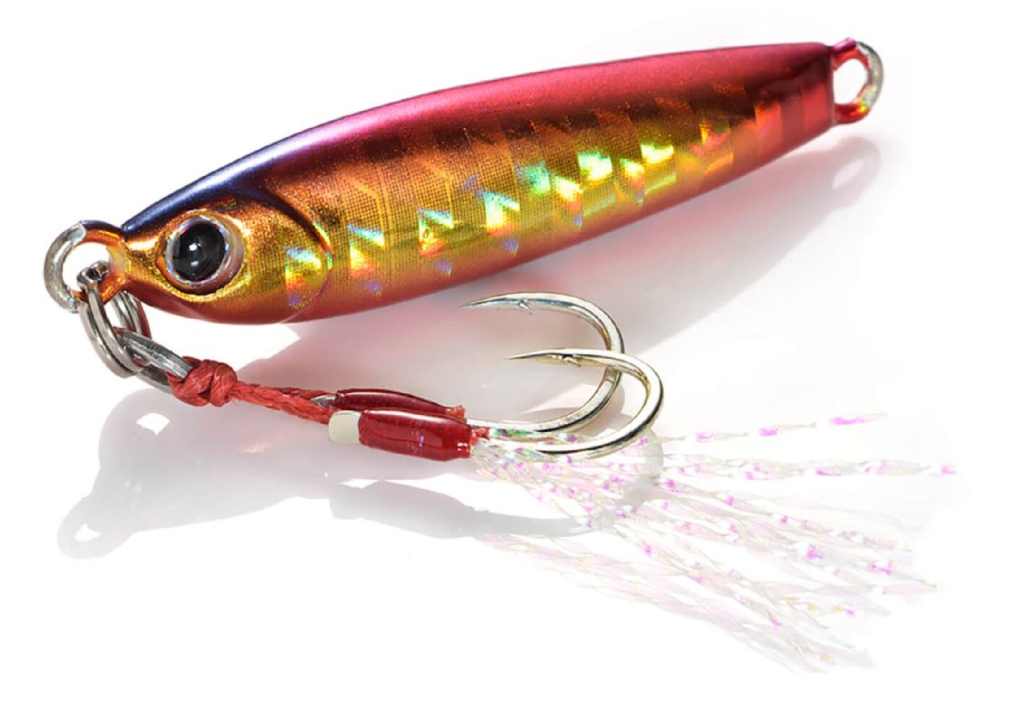 Lure Haven Singapore
