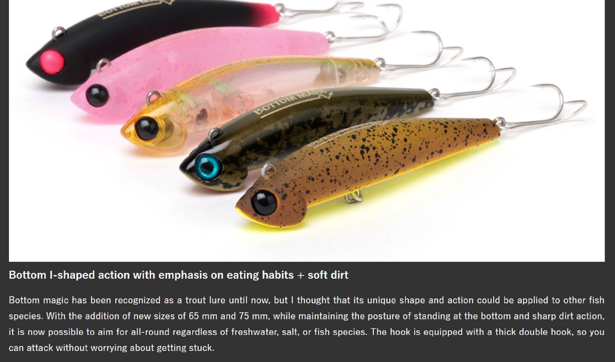 Lure Haven Singapore