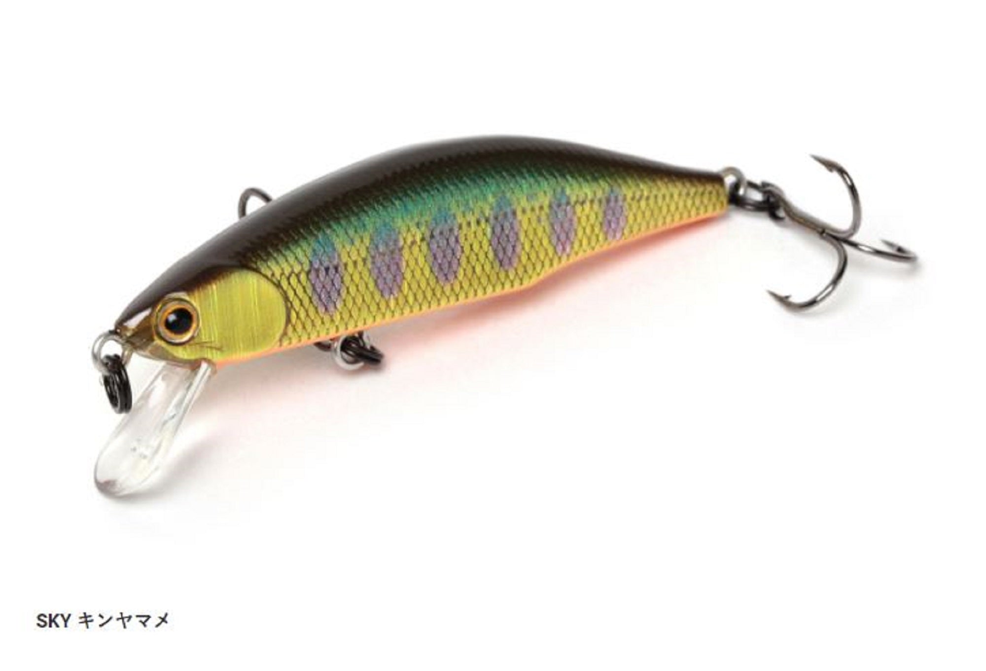 Lure Haven Singapore