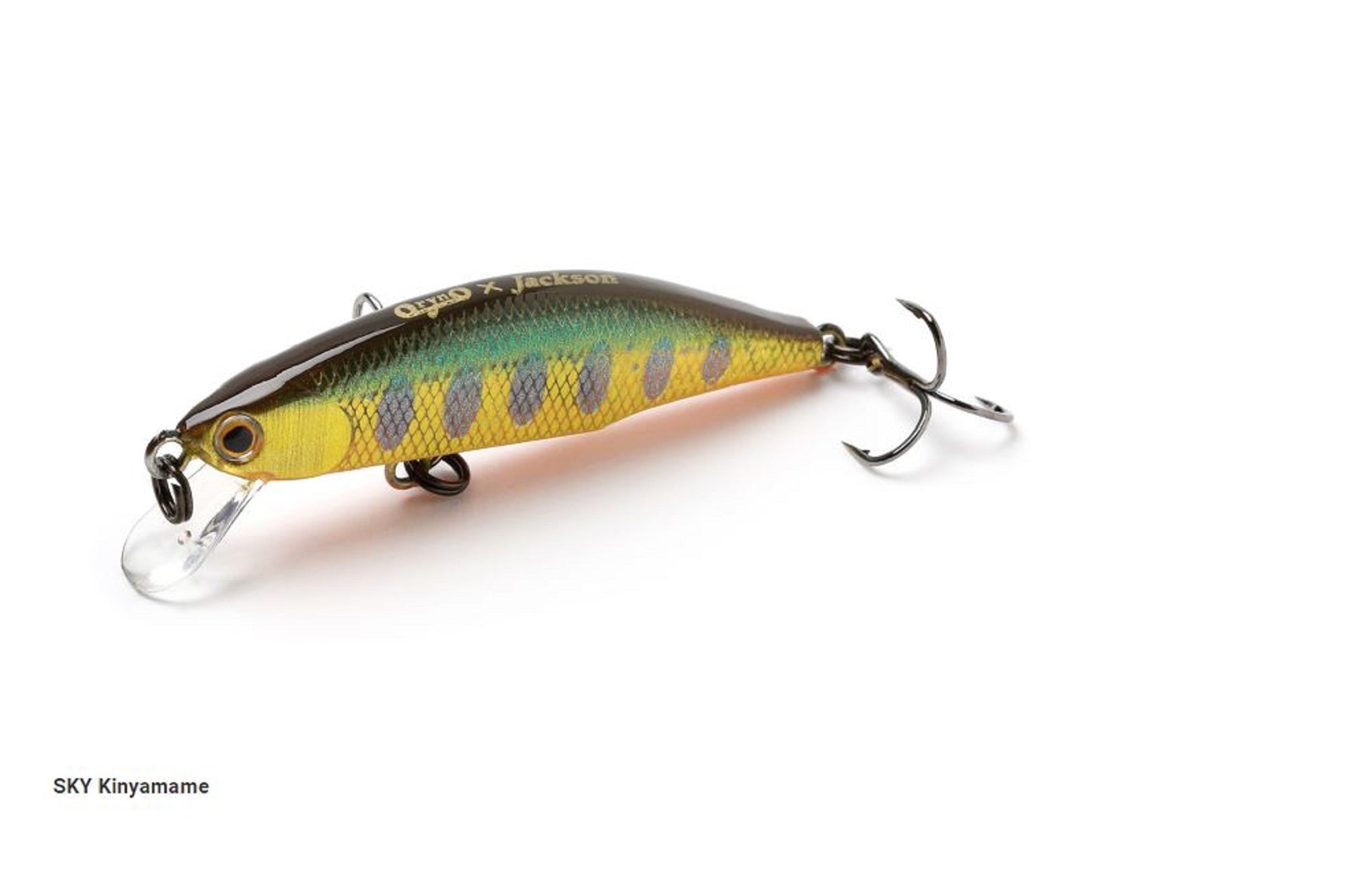 Lure Haven Singapore