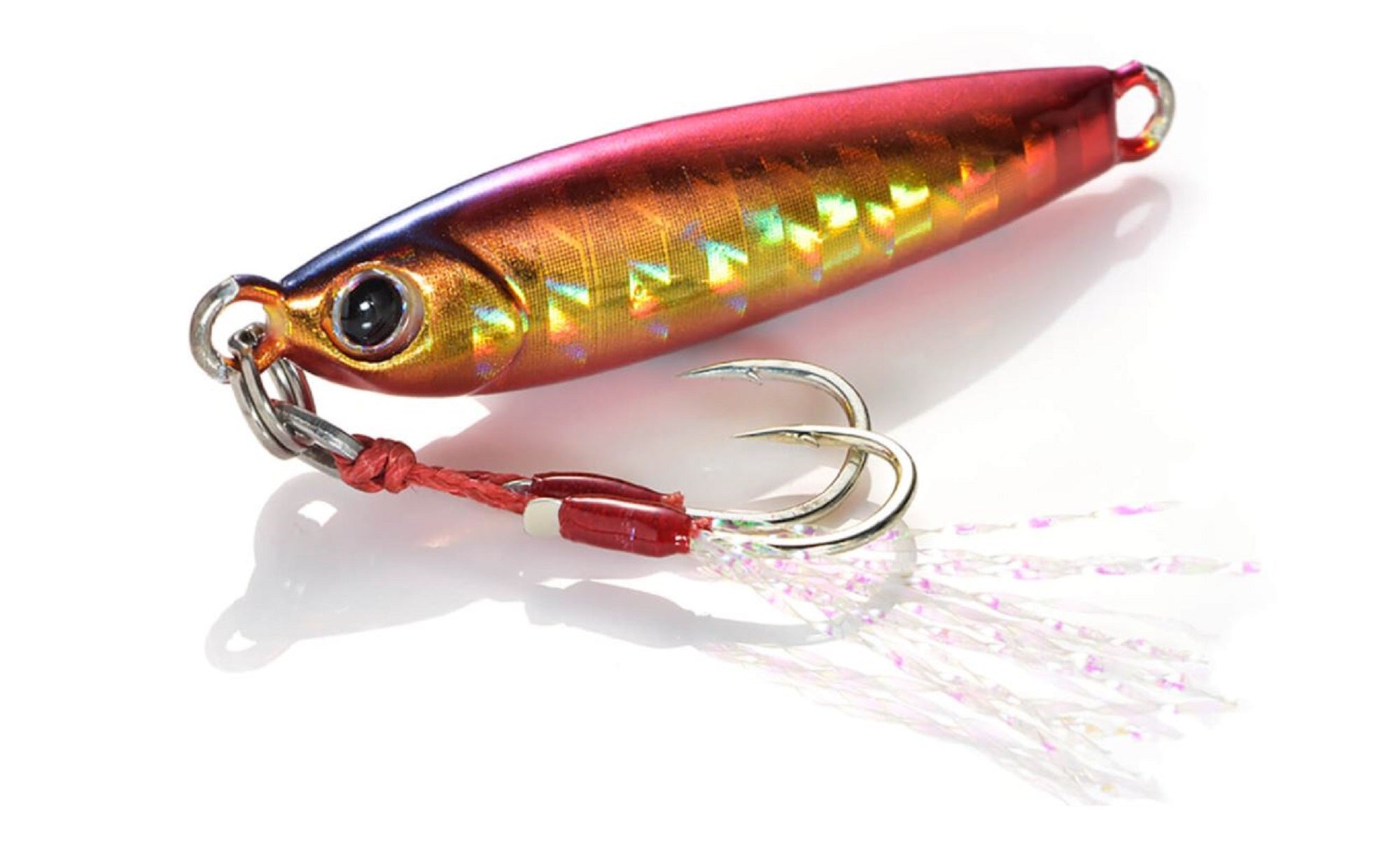 Lure Haven Singapore