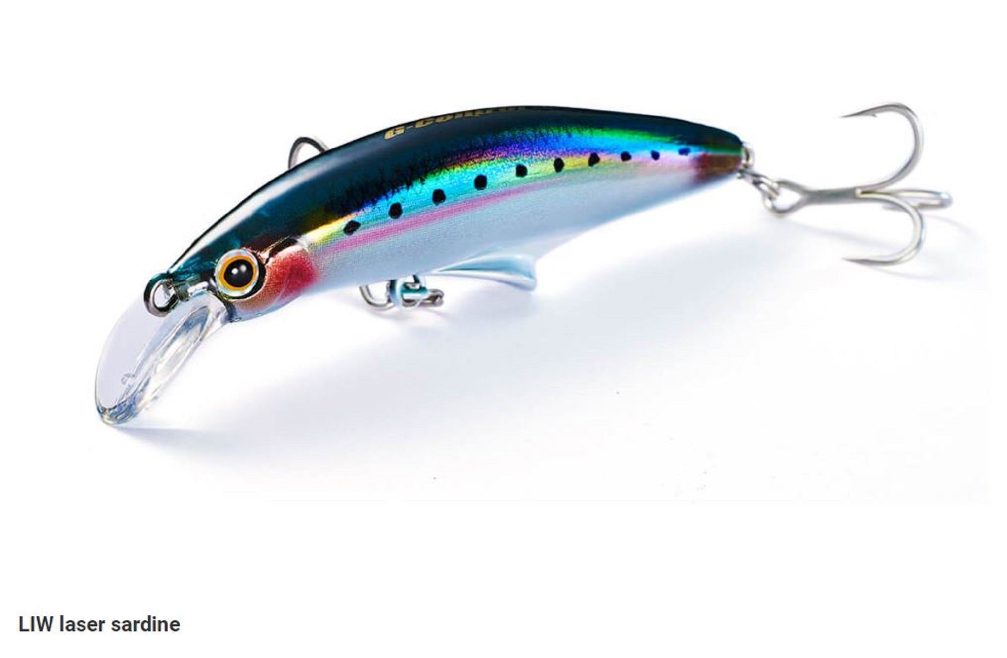 Lure Haven Singapore