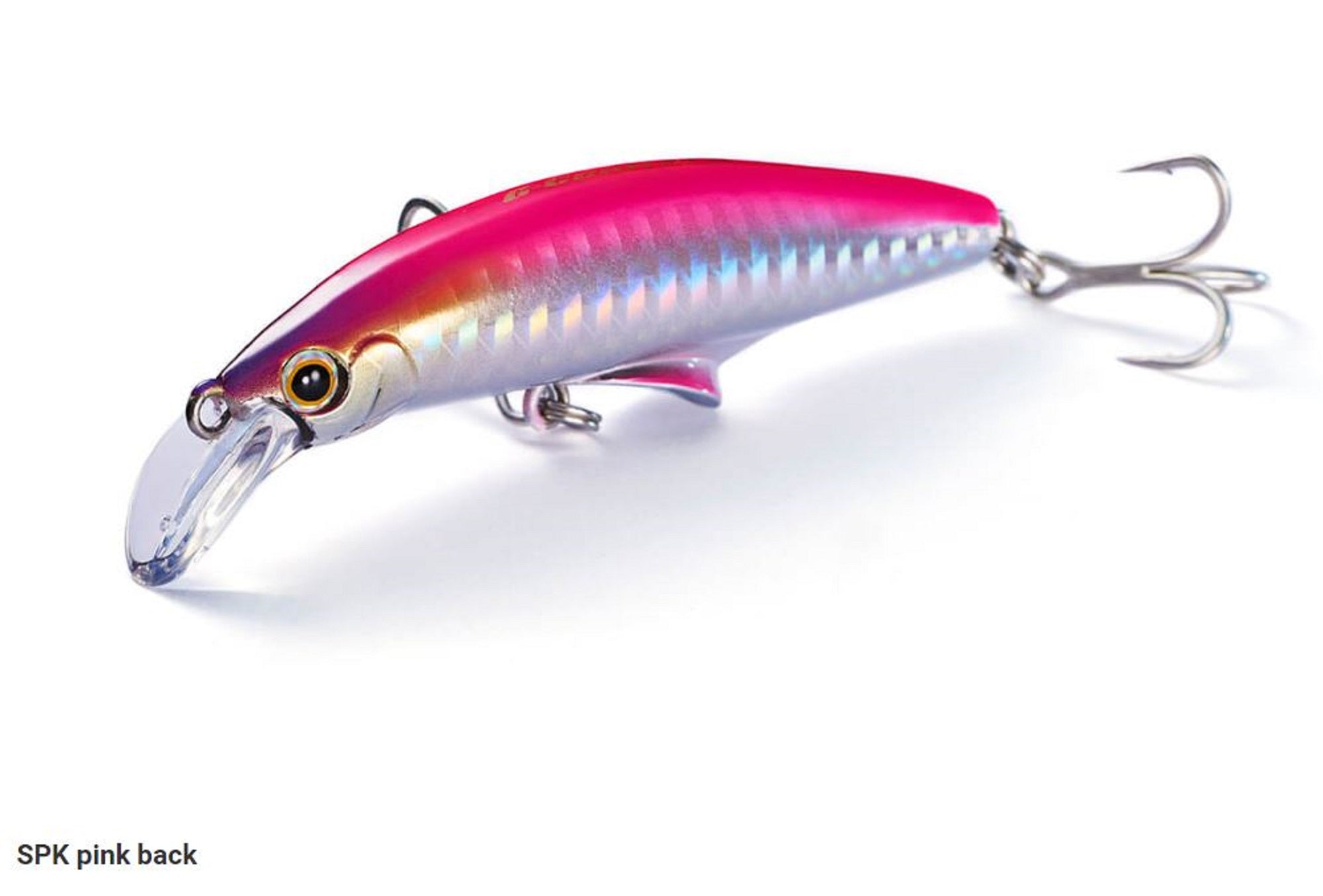Lure Haven Singapore