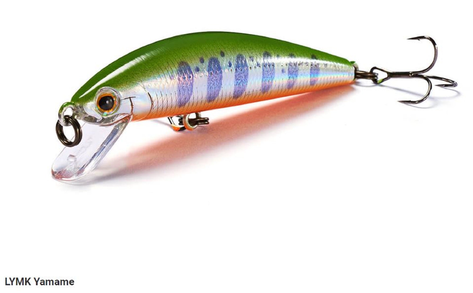 Lure Haven Singapore