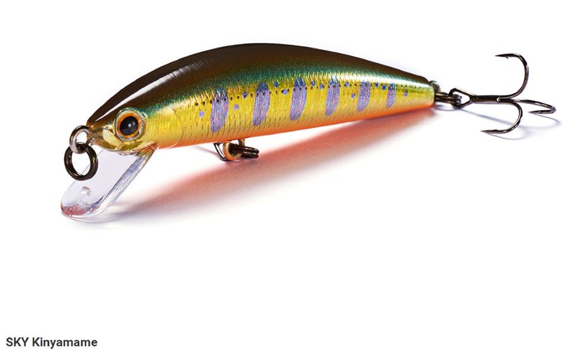 Lure Haven Singapore