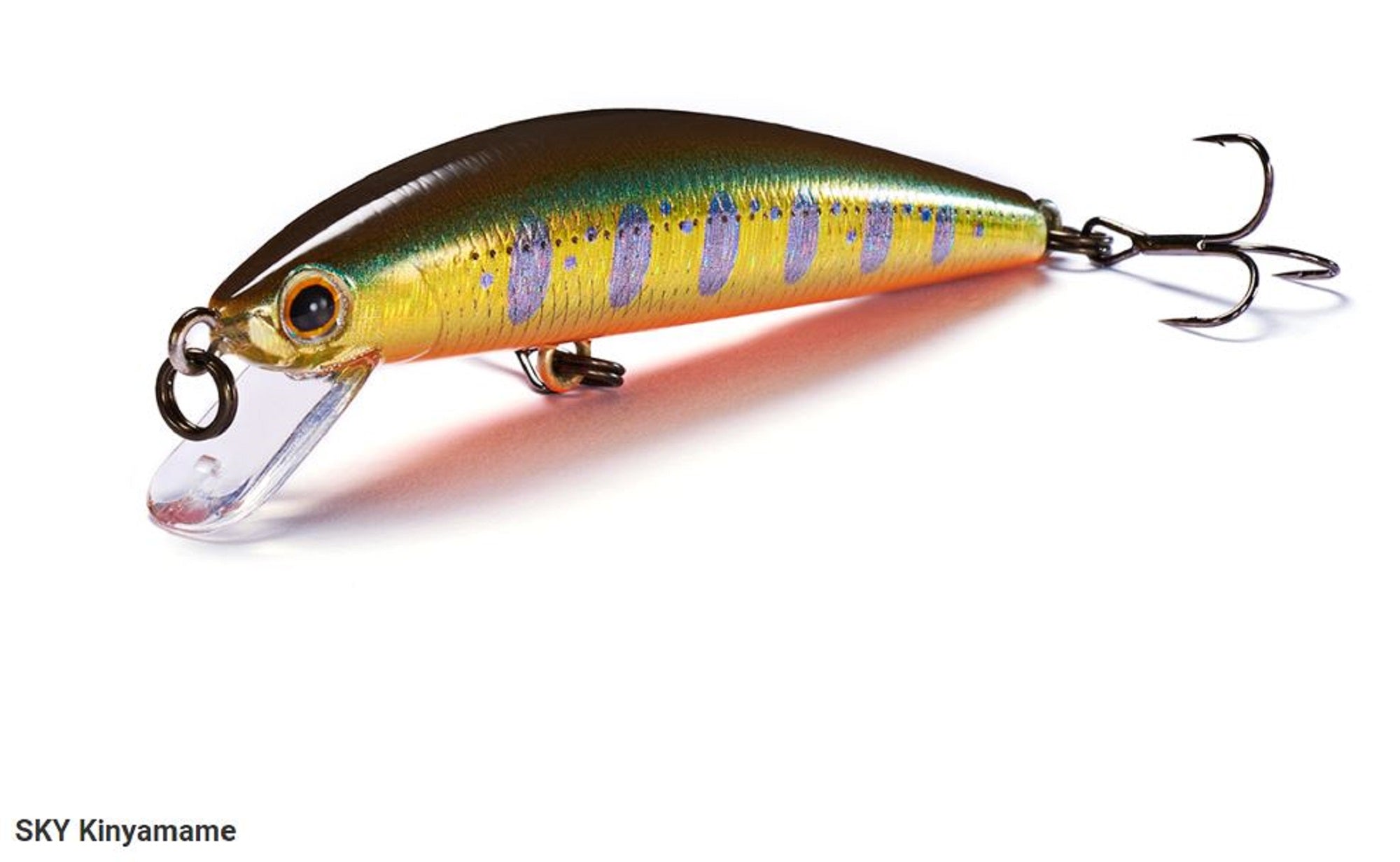 Lure Haven Singapore