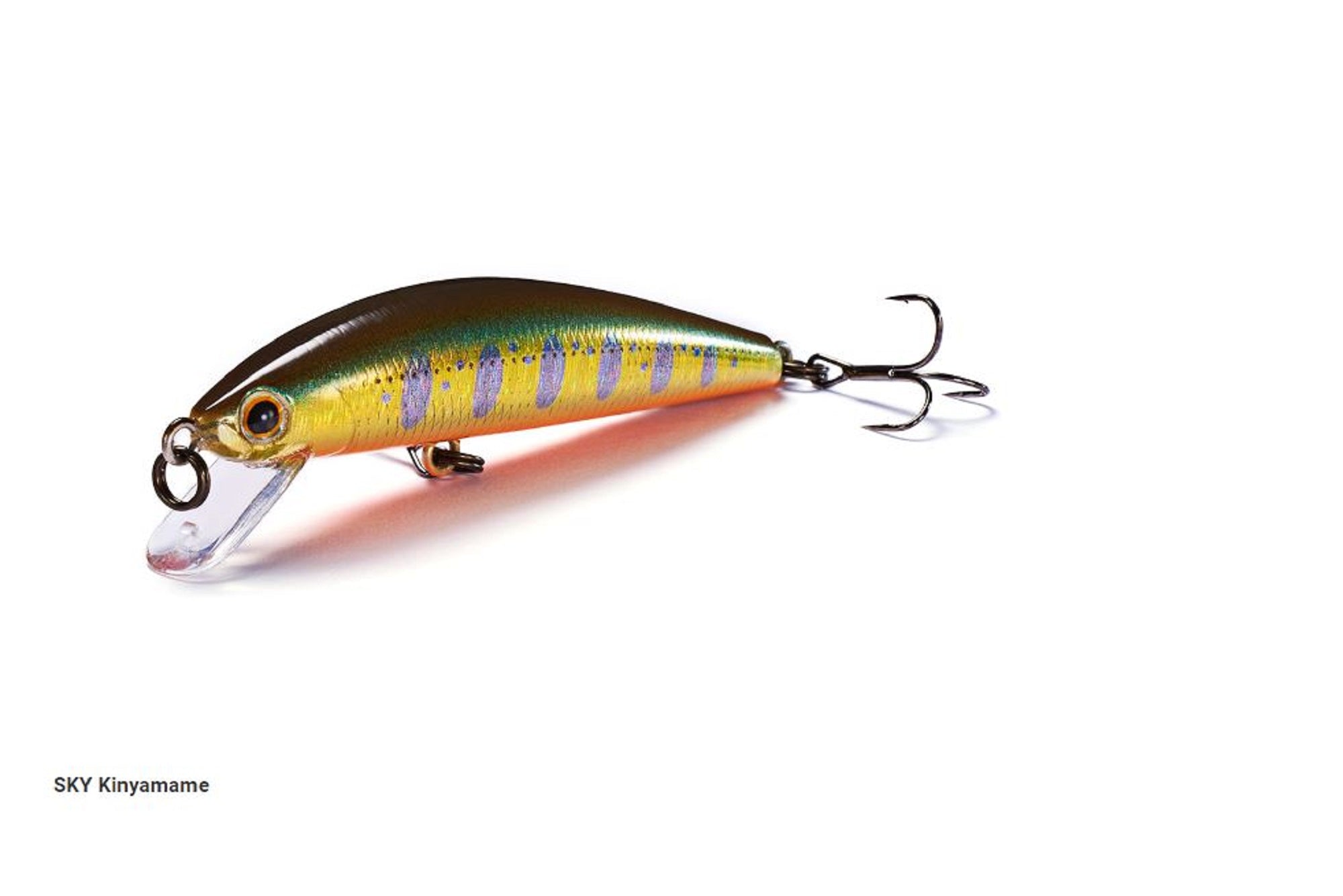 Lure Haven Singapore