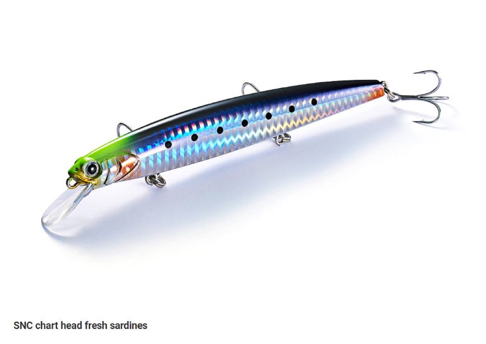 Lure Haven Singapore