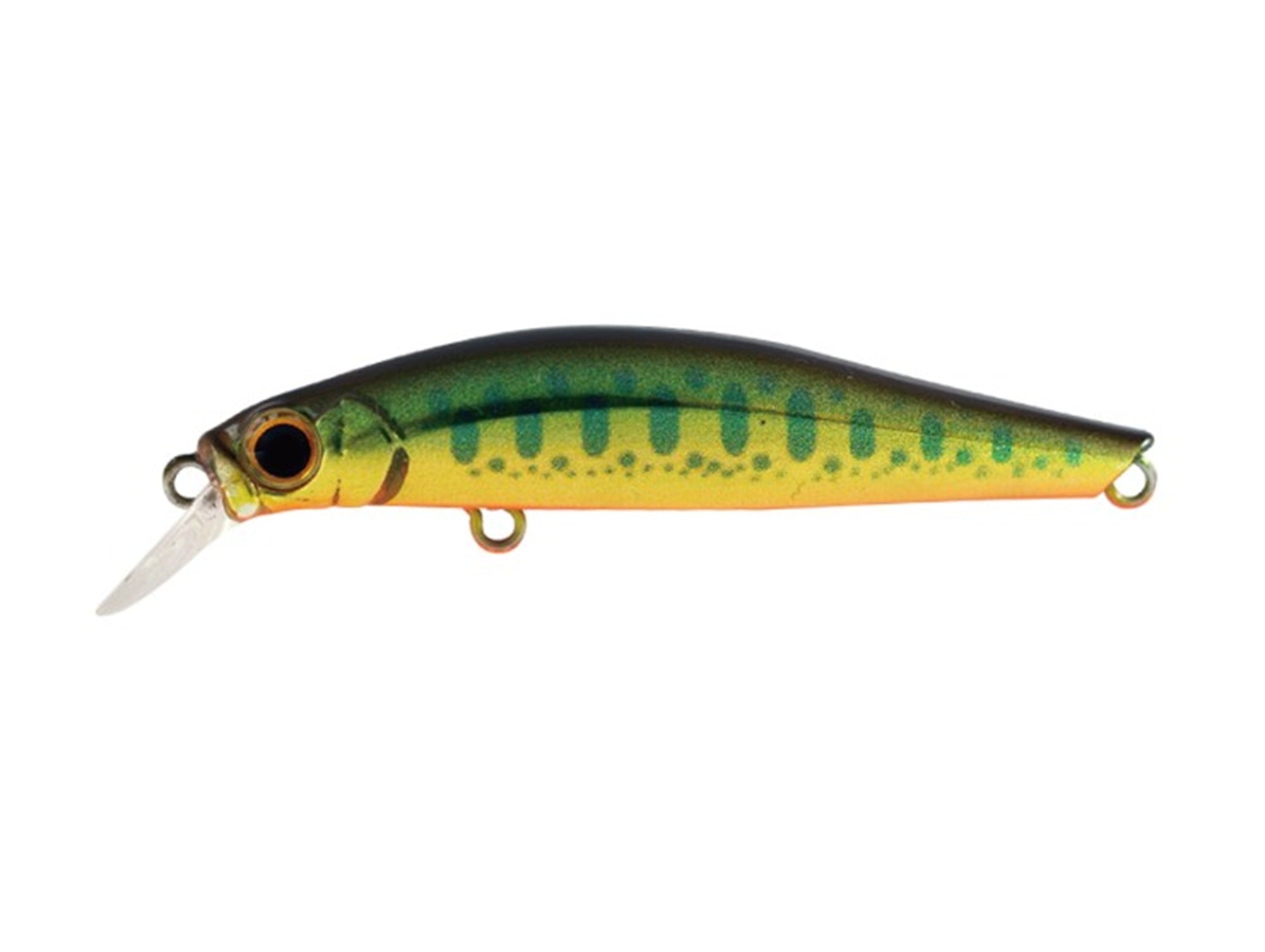 Jackson Artist FR 55 Sinking Minnow Lure KY (4655)