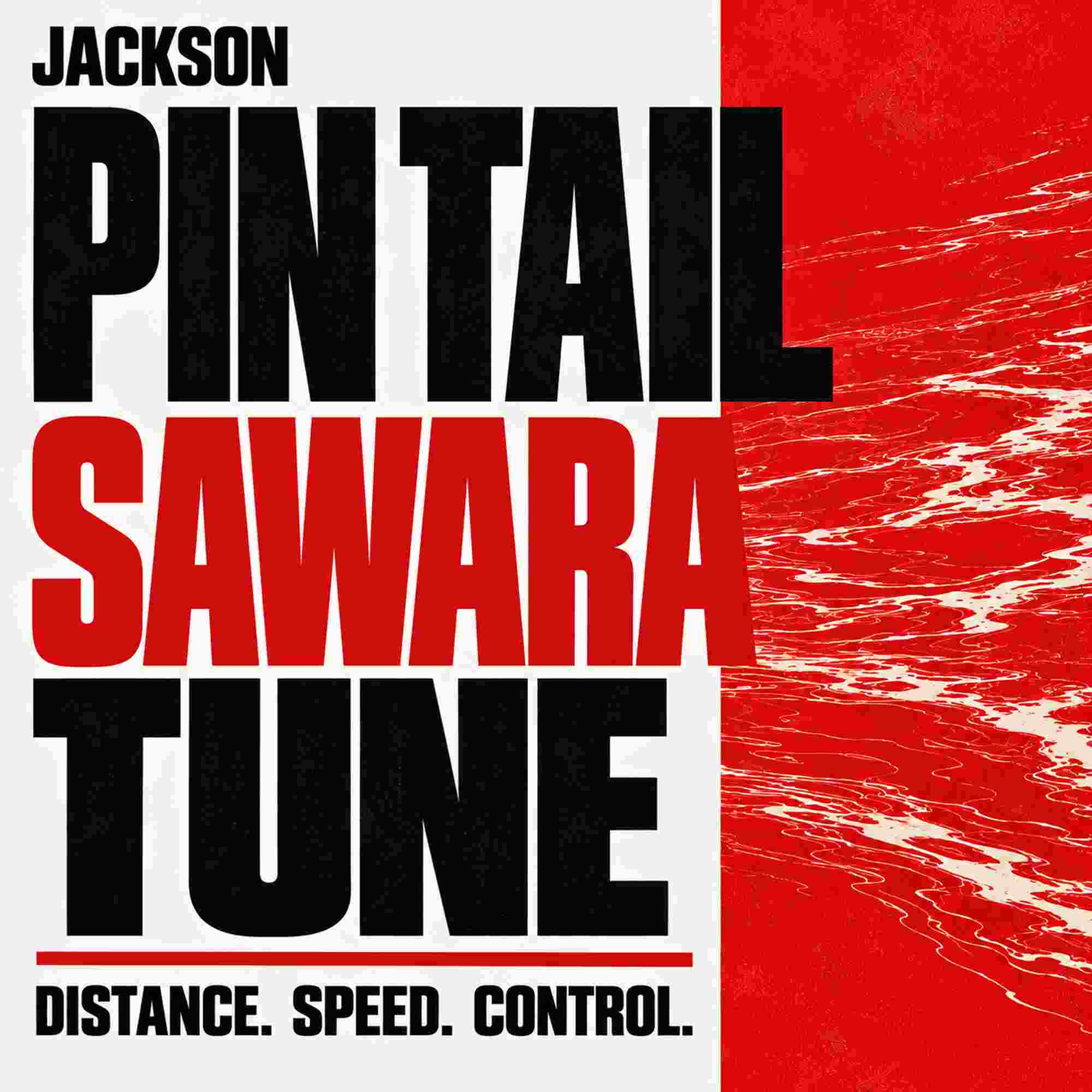 Jackson Pin Tail Sawara Tune 42 grams 120 mm Sinking Lure BMG (6475)