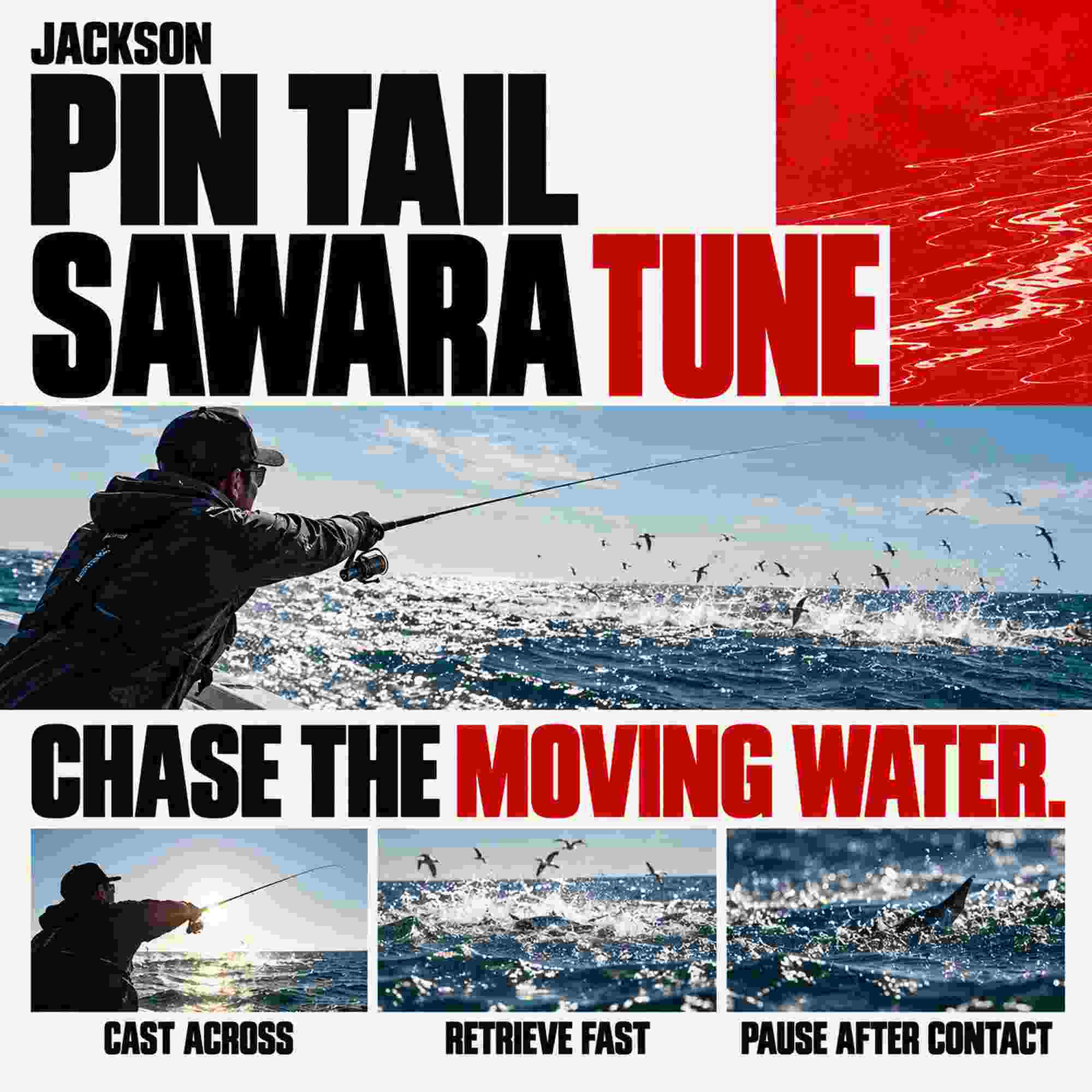 Jackson Pin Tail Sawara Tune 42 grams 120 mm Sinking Lure BMG (6475)