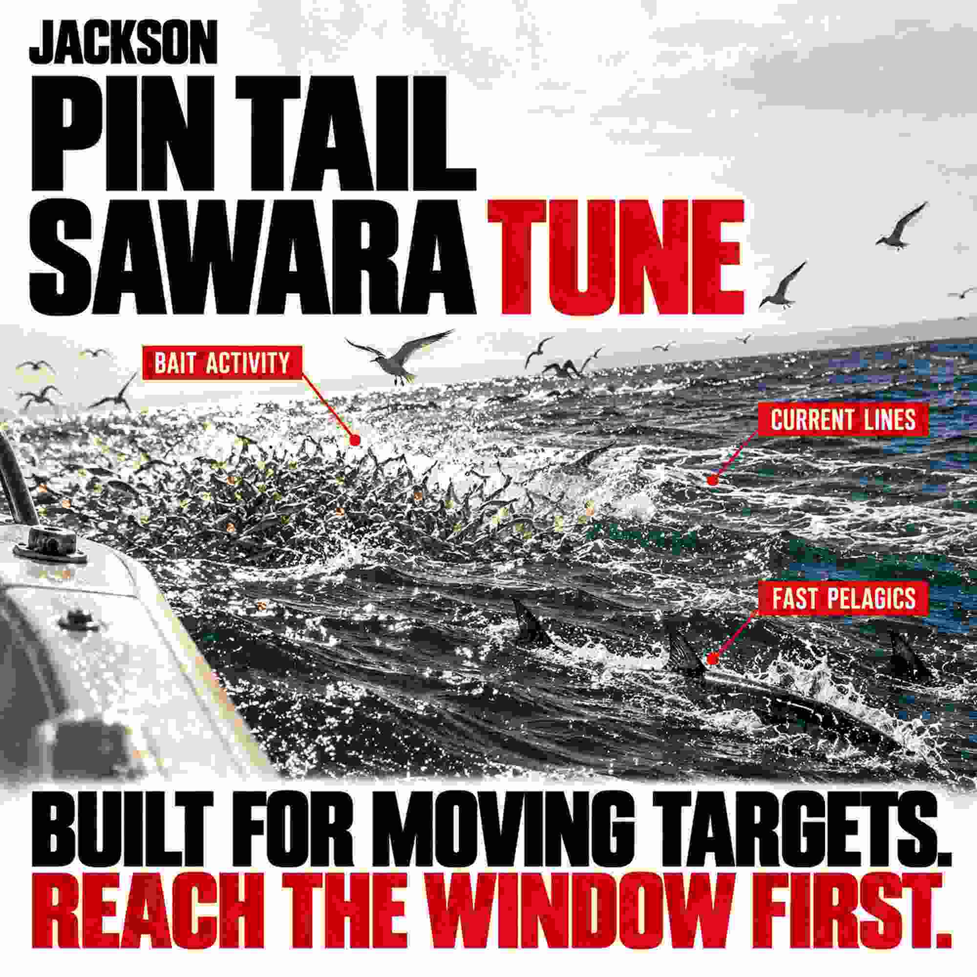 Jackson Pin Tail Sawara Tune 42 grams 120 mm Sinking Lure BMG (6475)