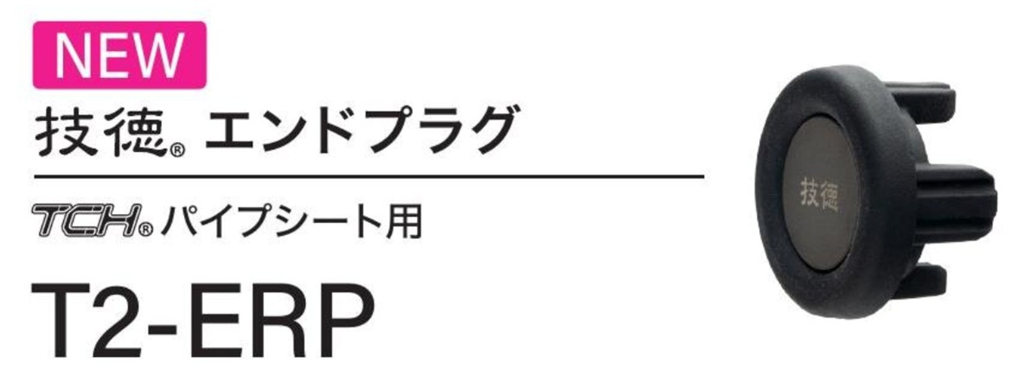 Fuji T2-ERP Size 25 Titanium End Plug x 1 (3963)