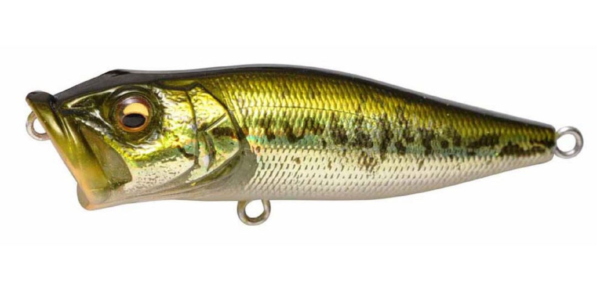 Megabass Pop X Standard 64 mm 7 grams Floating Lure GG Bass (0668)