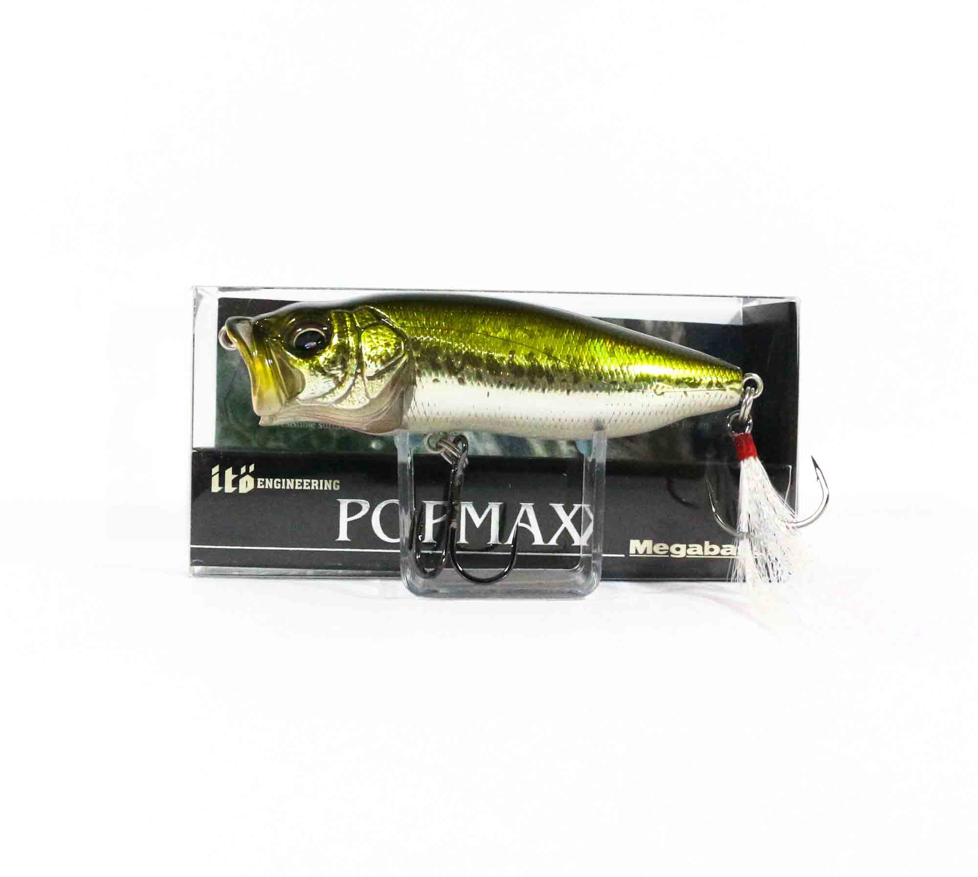 Lure Haven Singapore